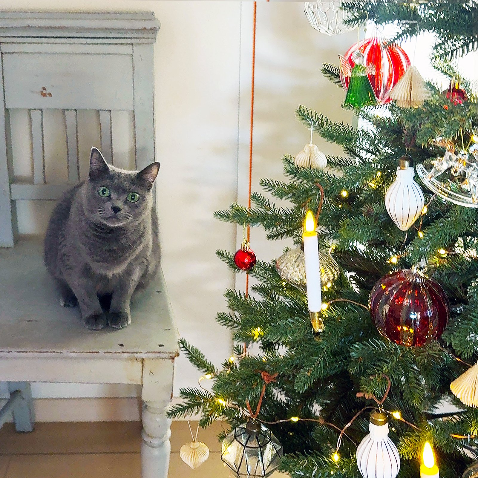 最終回＞本を片手に、いつもと違う一歩踏み込んだクリスマスを