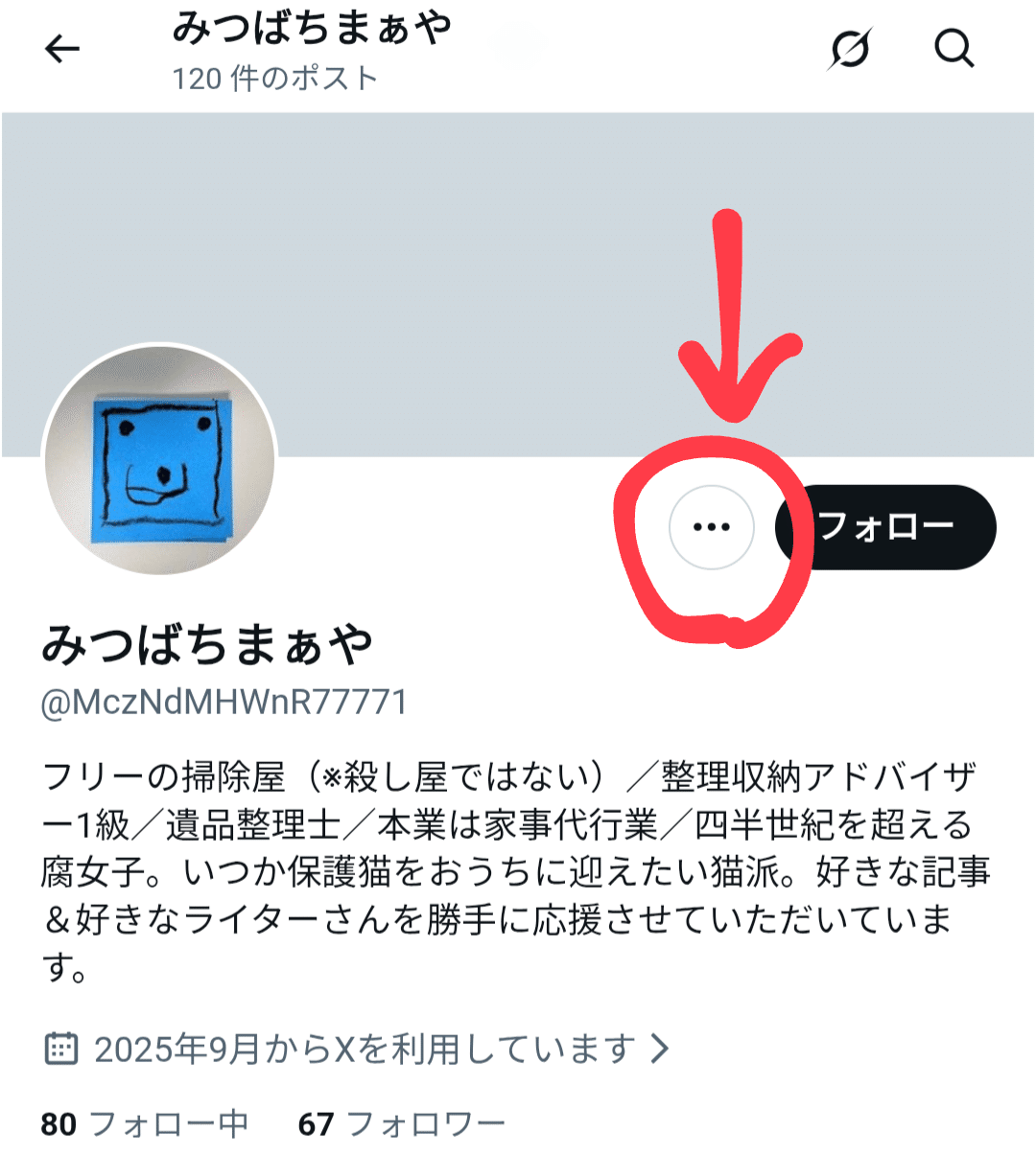 戒めアカウント様 追記】私のなりすましアカウントがいるのだが！？｜みつばちまぁや