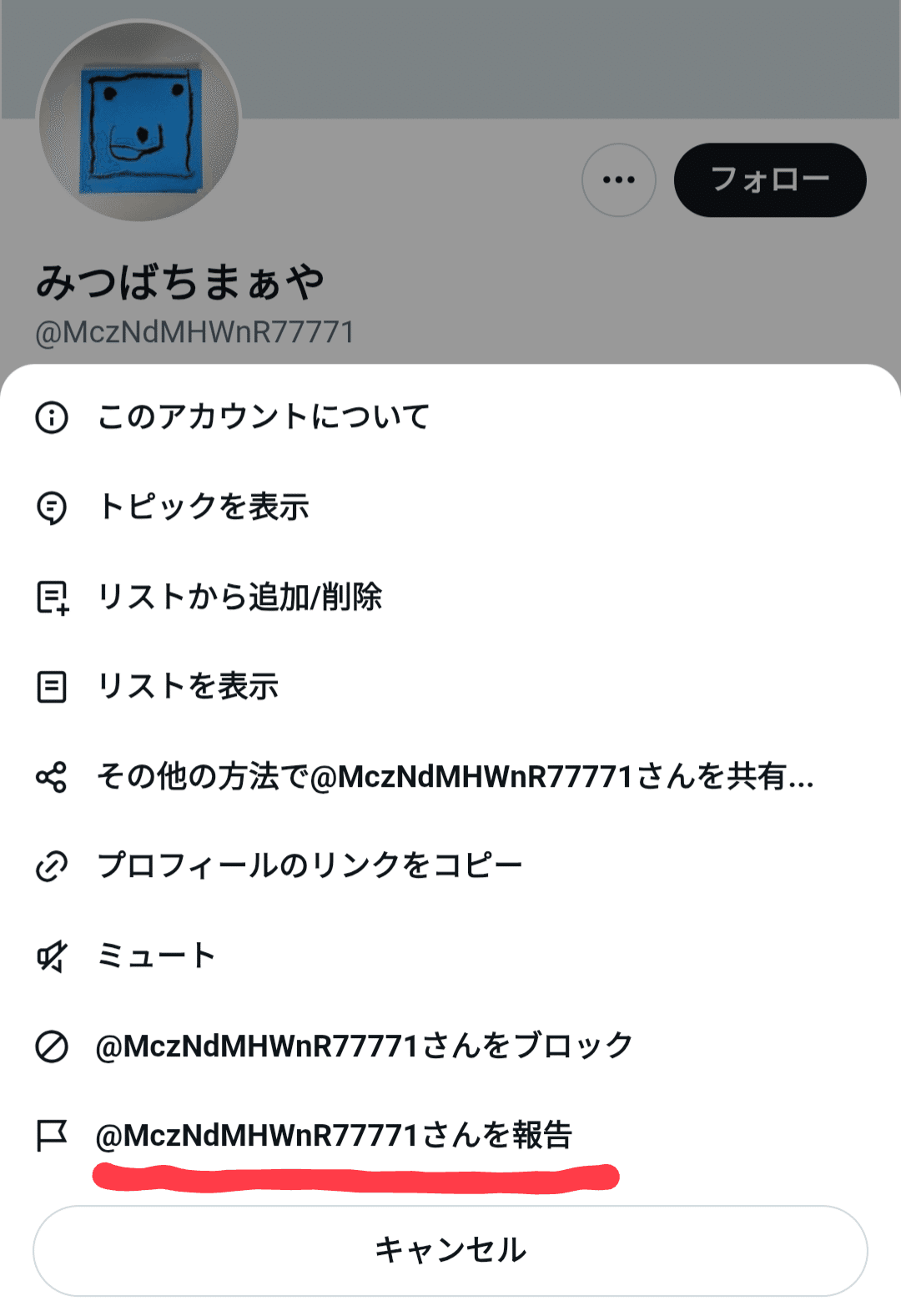 追記】私のなりすましアカウントがいるのだが！？｜みつばちまぁや