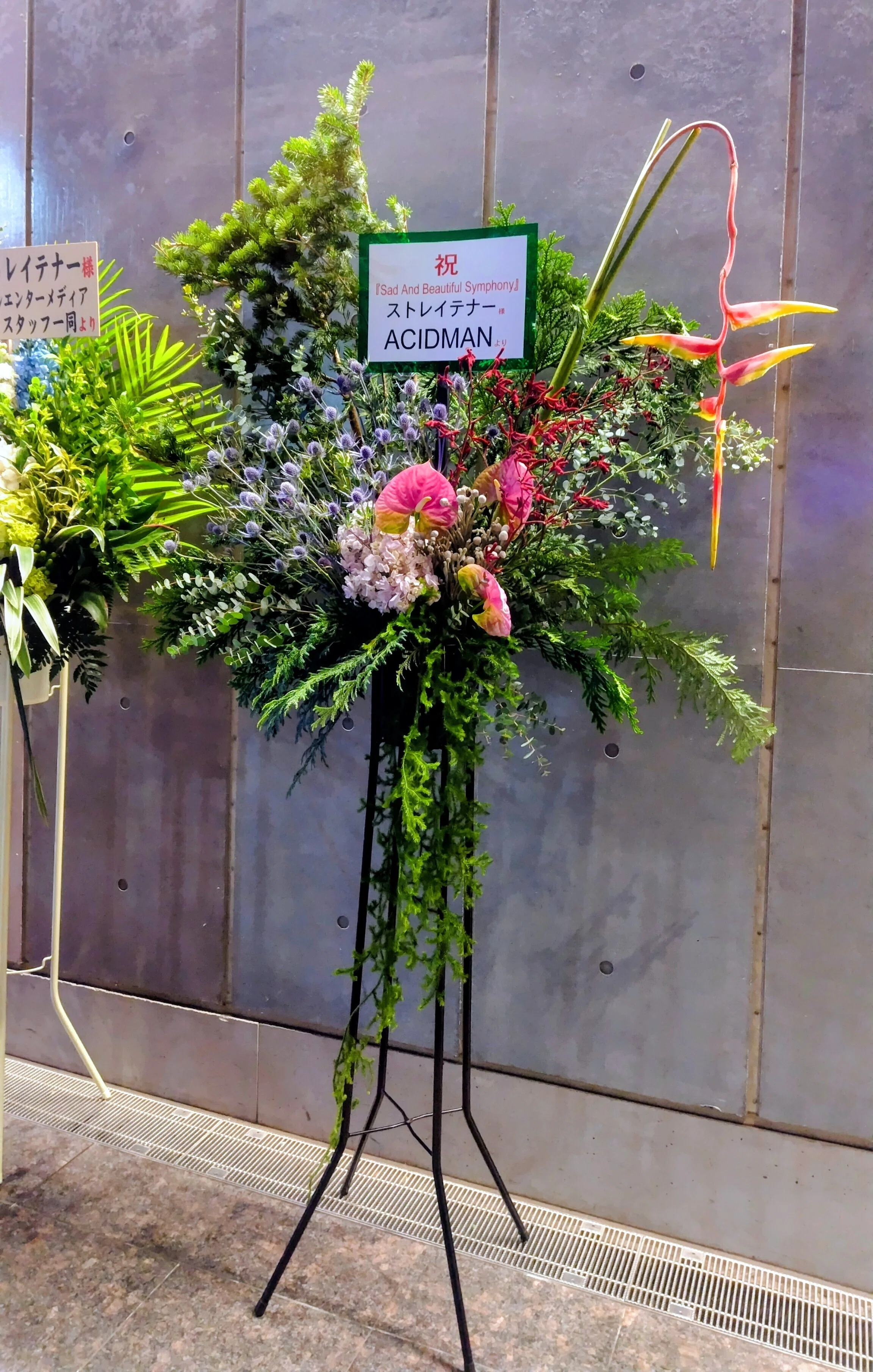 ストレイテナーという芸術【Sad And Beautiful Symphony】｜ミ～ア
