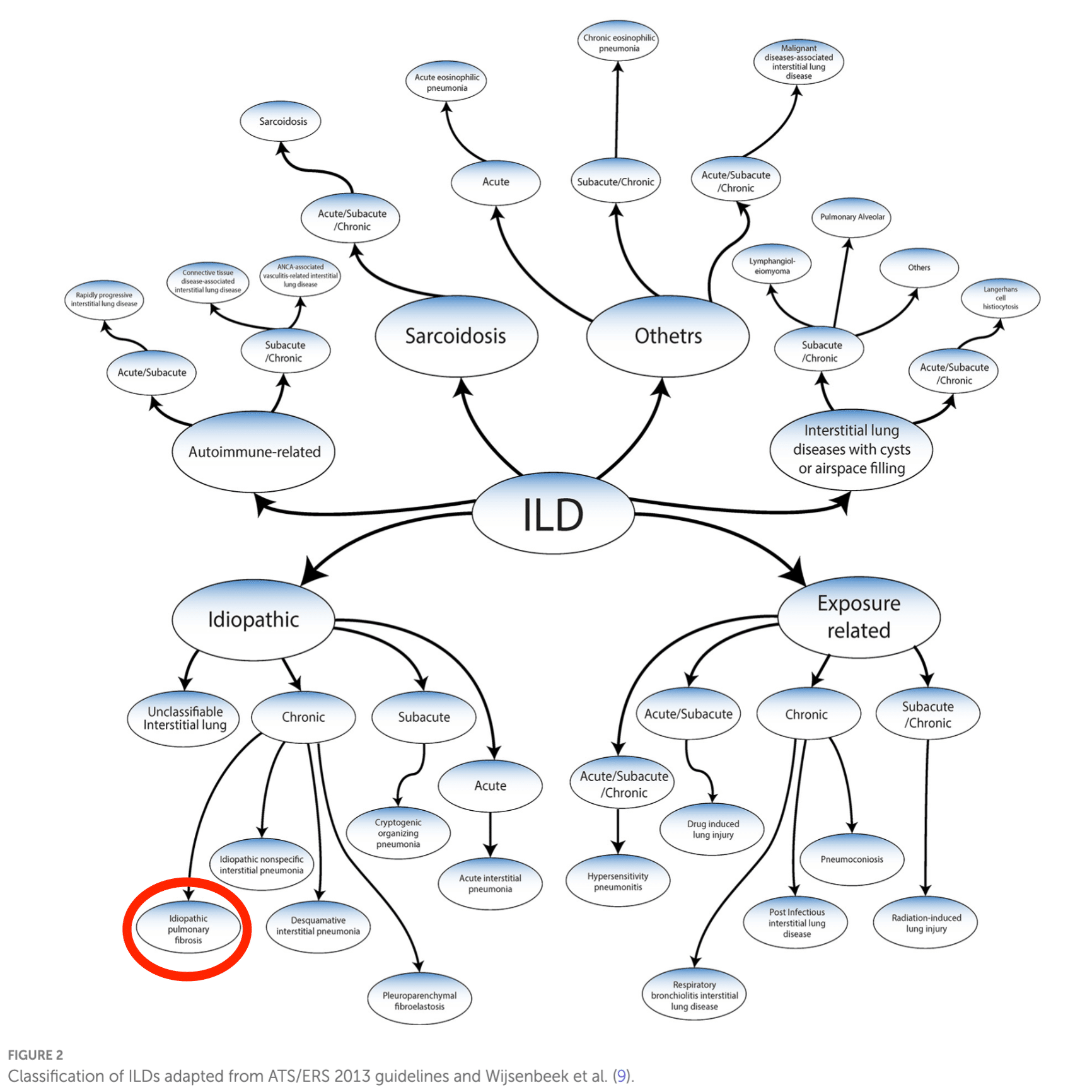 理学療法士国家試験の良問を味わい尽くすぞ｜かつひさ
