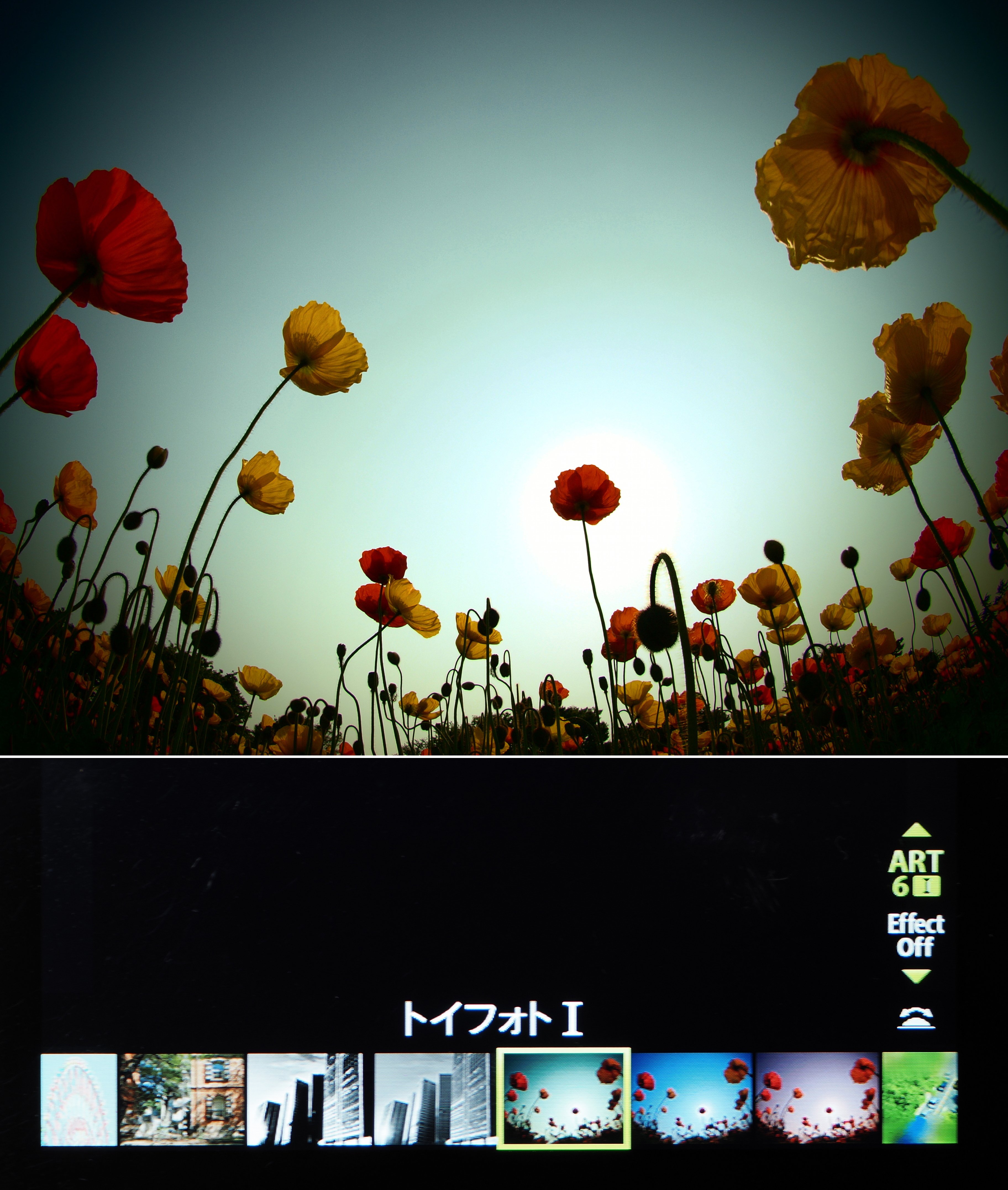 小さな世界をのぞいてみよう！ #09 作品づくりに積極的に活用…「アート