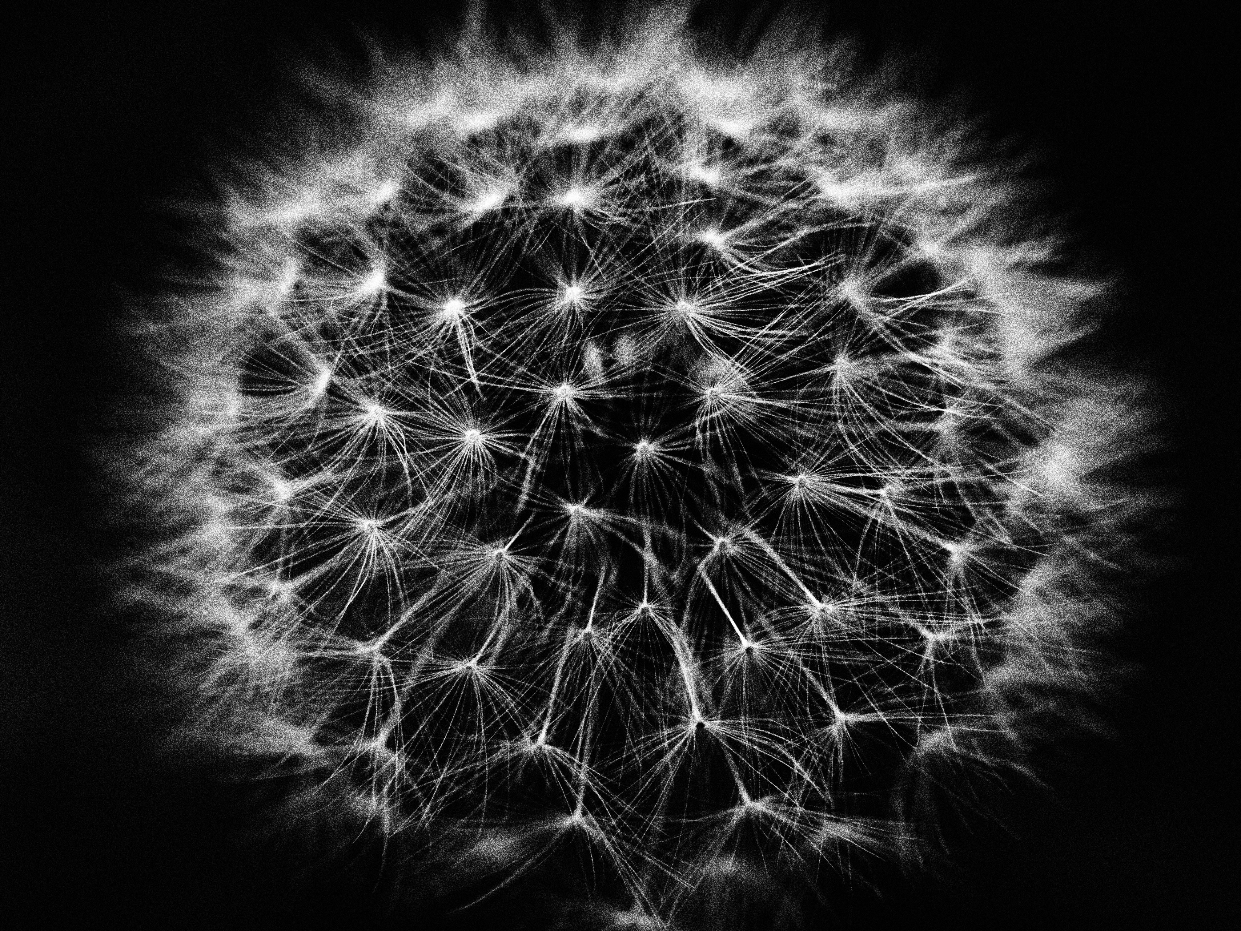 小さな世界をのぞいてみよう！ #09 作品づくりに積極的に活用…「アート