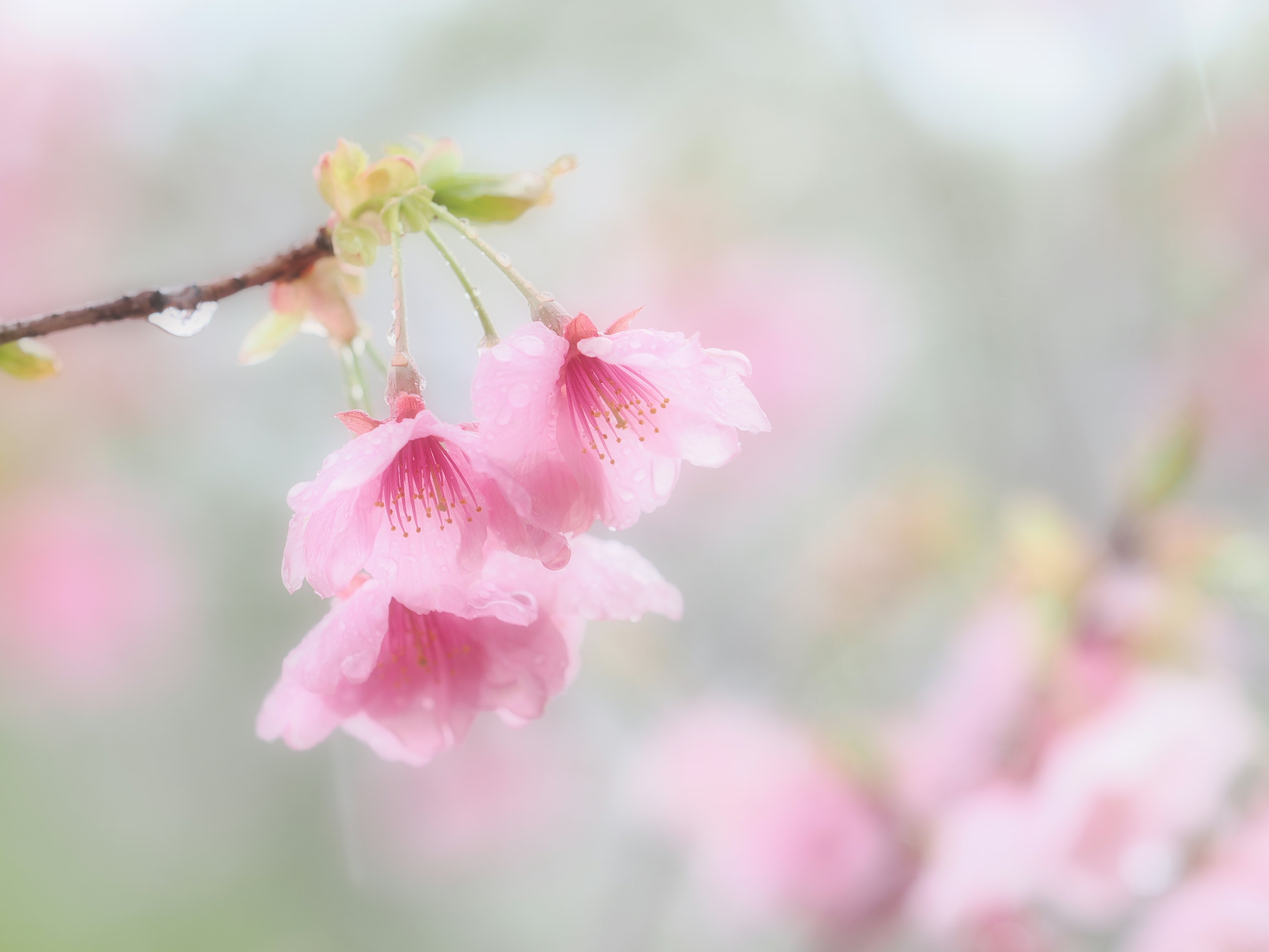 小さな世界をのぞいてみよう！ #09 作品づくりに積極的に活用…「アート