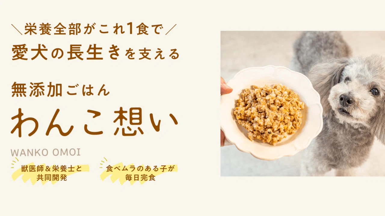 わんこ想いの口コミは？悪評や怪しいという噂も調査しました｜あやか