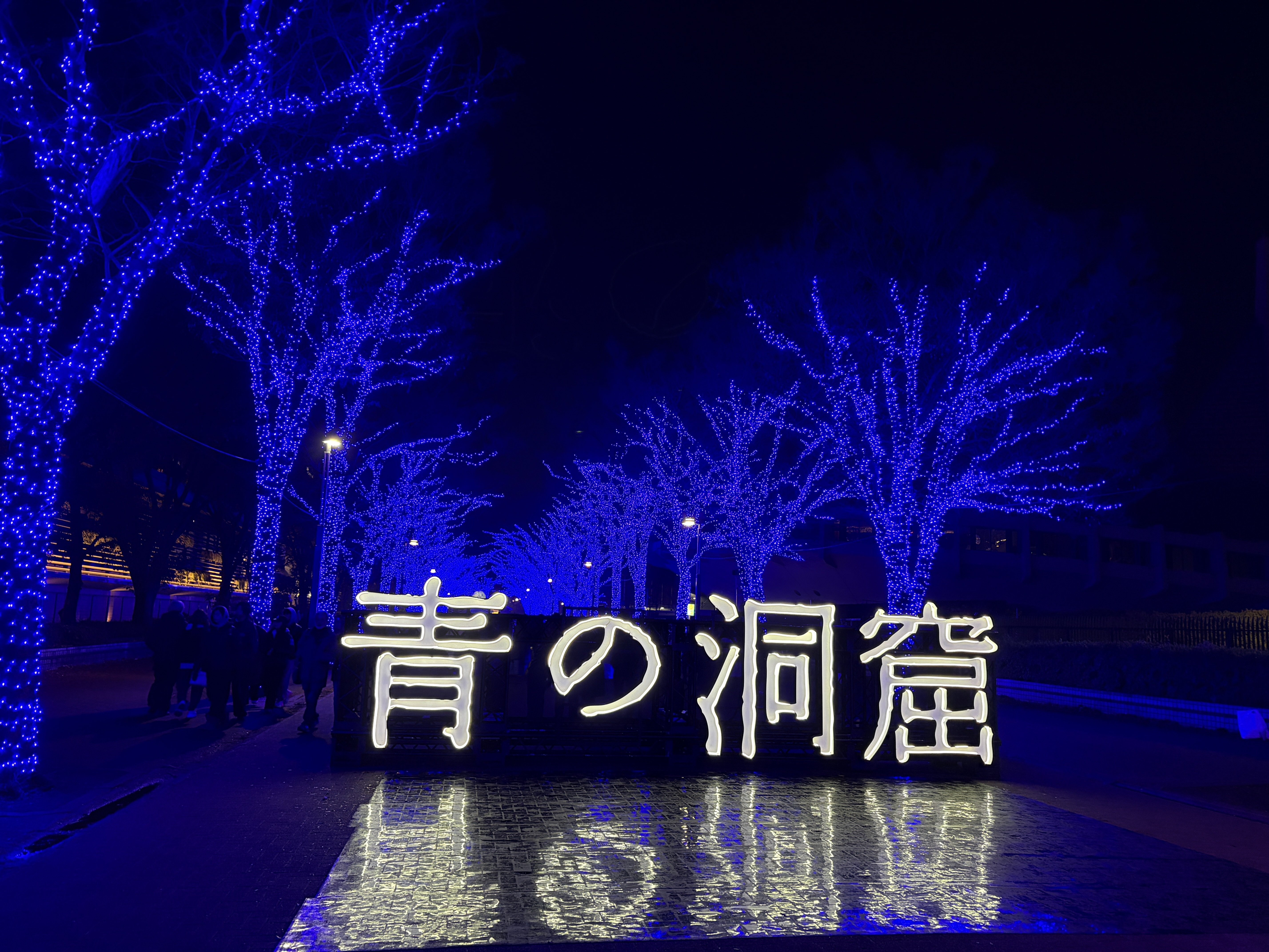 矢野顕子さとがえるコンサート2025 featuring 小原礼・佐橋佳幸・林立