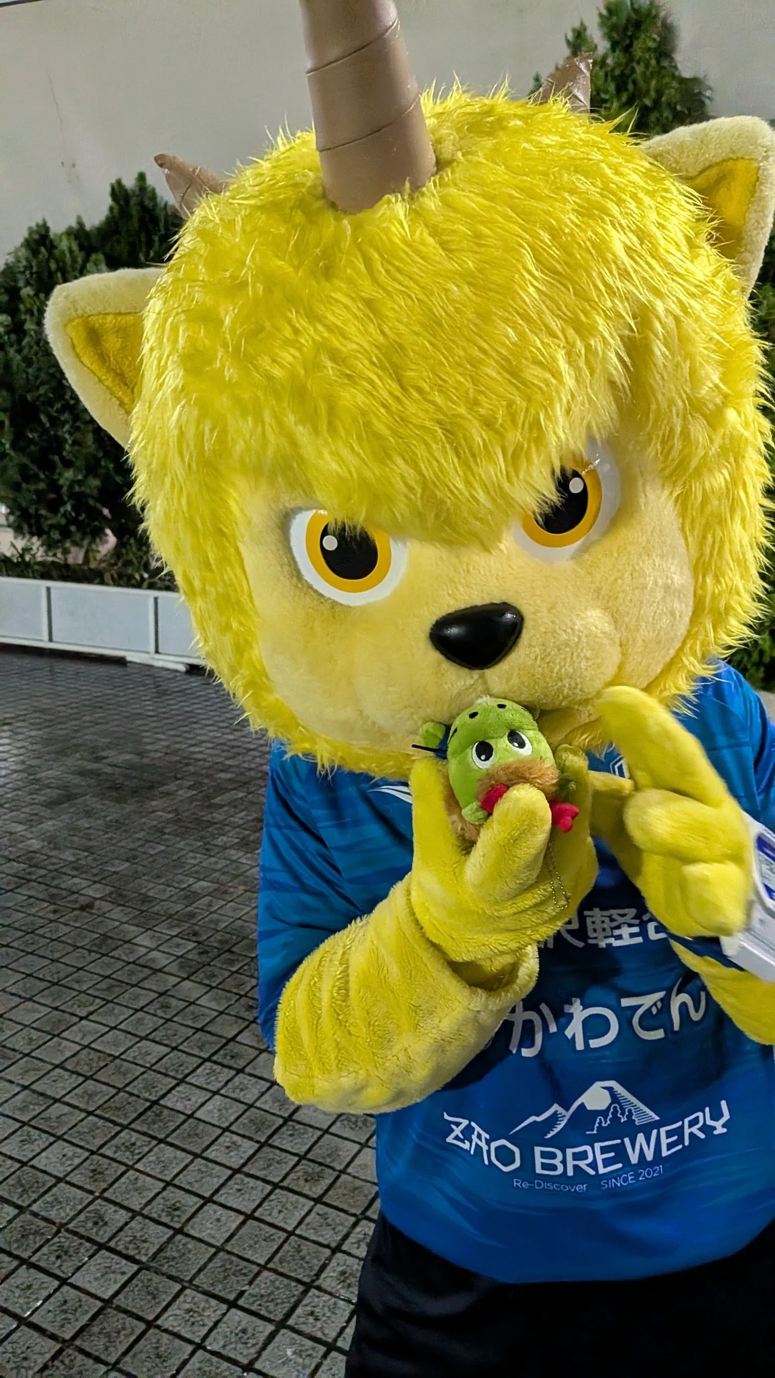 夢だけど、夢じゃなかった ～水戸ホーリーホックJ2優勝までの追憶①