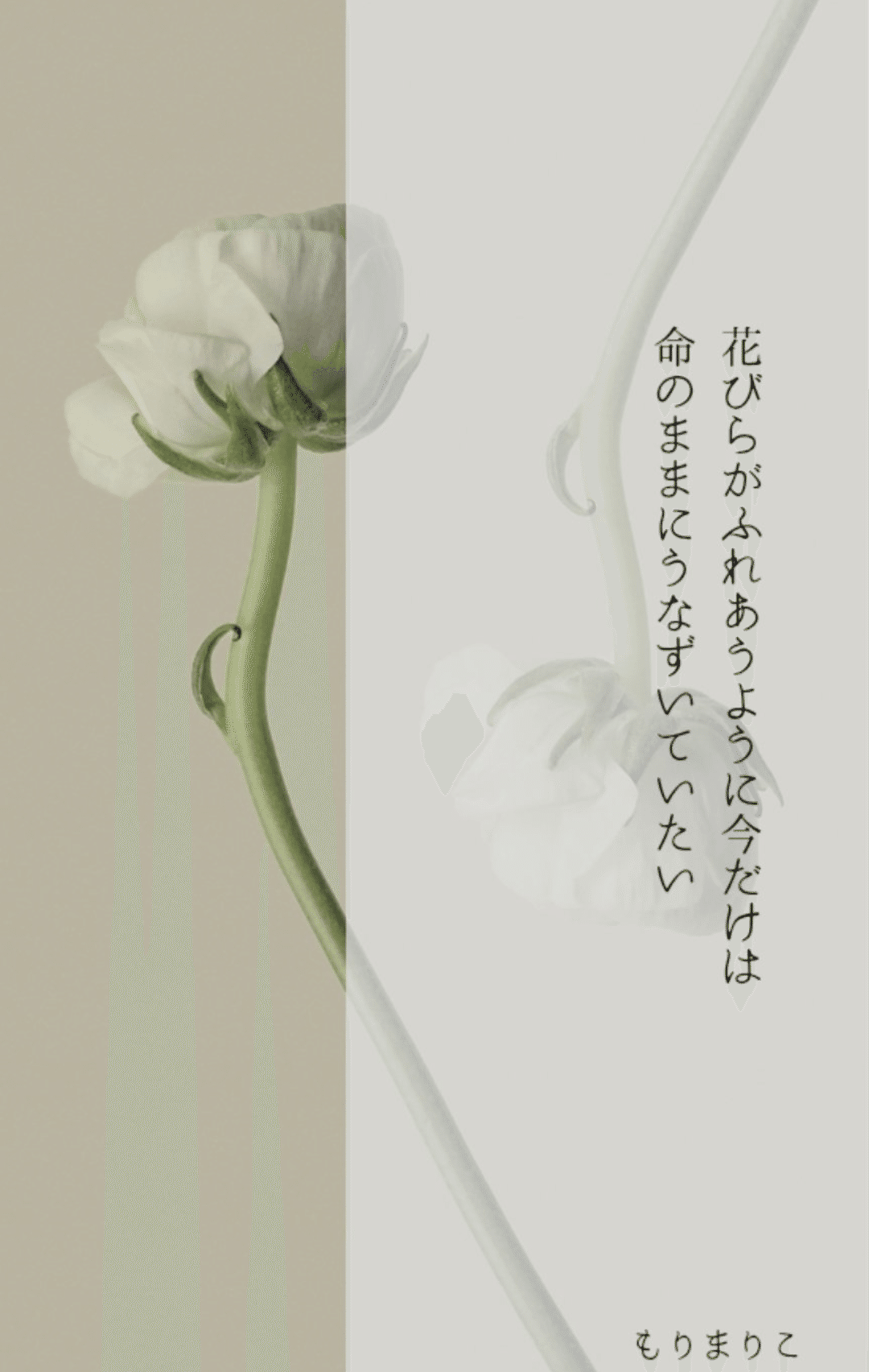 ゼロ・ゼロ・ゼロ　もりまりこ　短歌　歌集 ゼロ・ゼロ・ゼロ もりまりこ 短歌 歌集 Amazon.co.jp: ゼロ・ゼロ