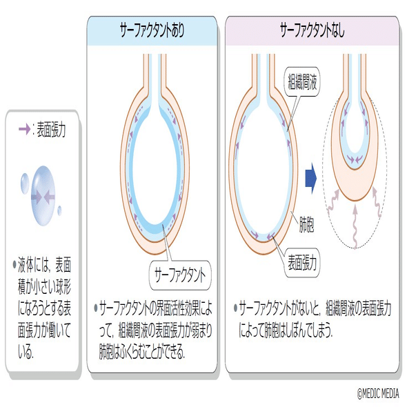 理学療法士国家試験の良問を味わい尽くすぞ｜かつひさ