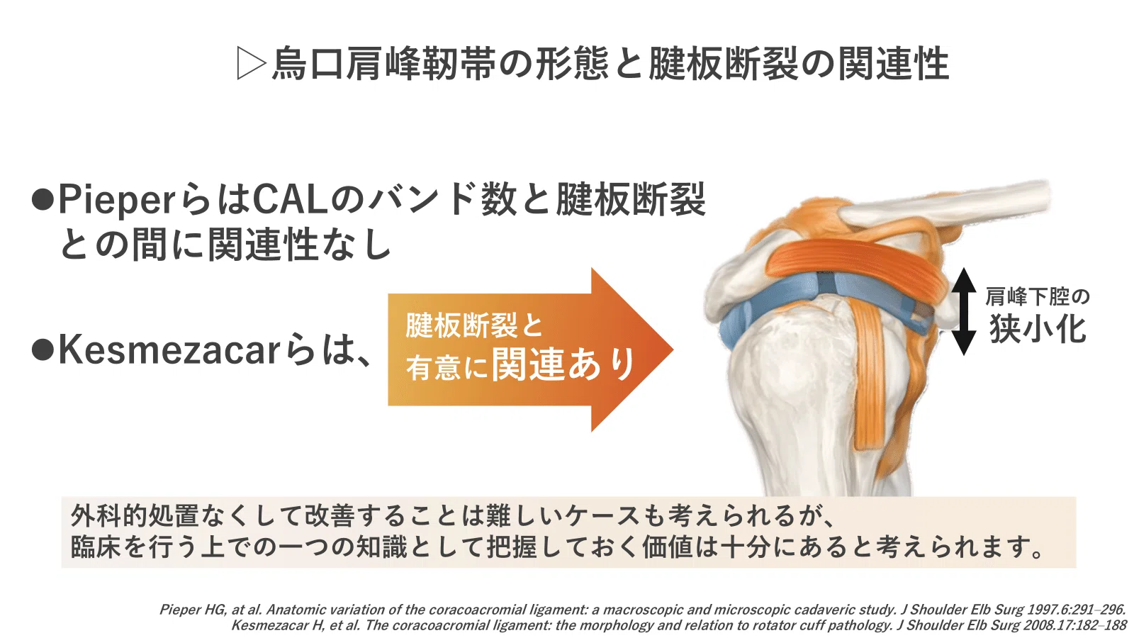 烏口上腕靭帯の機能解剖と徒手療法｜肩関節機能研究会 郷間