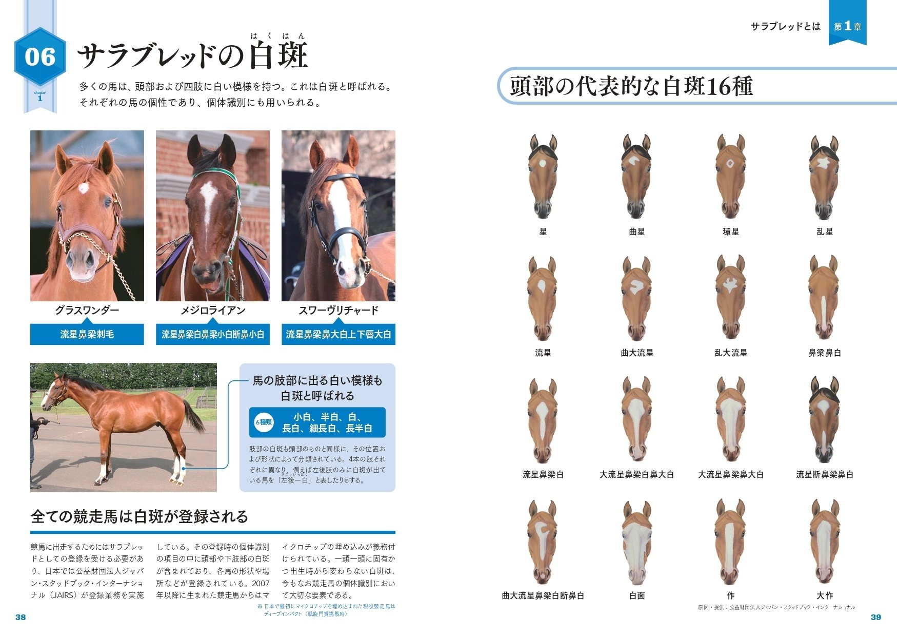 競馬の全てがわかる！『サラブレッド大辞典』12月19日発売｜カンゼン