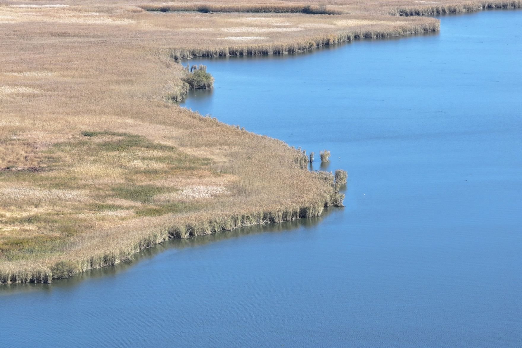琵琶湖内湖の画像まとめ｜水土空間