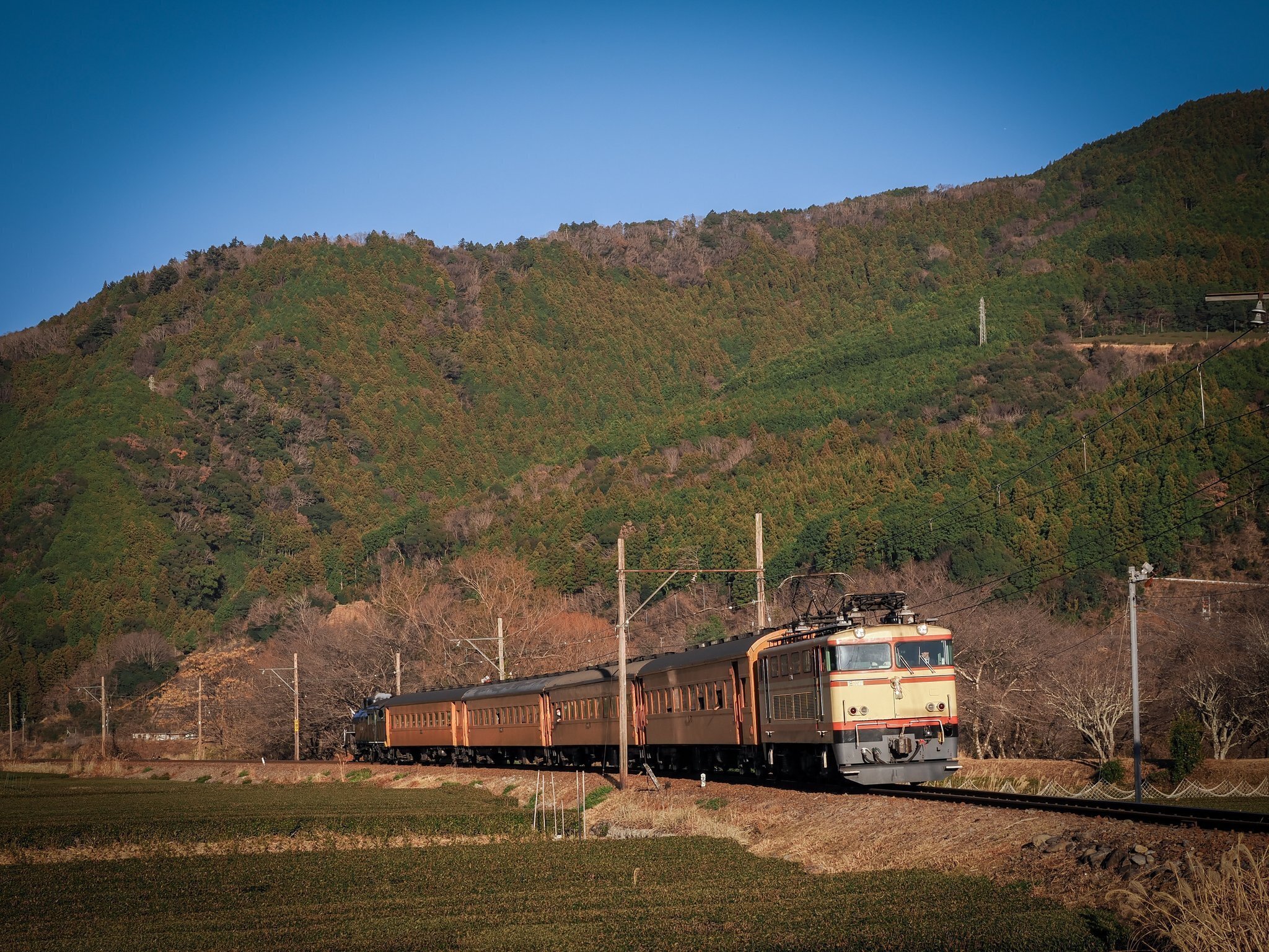 大井川鉄道のオレンジ客車を撮るのは楽しい｜YujiOkauchi