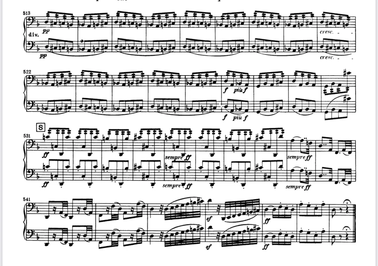 第九！その時バシストは！？｜新日本フィルハーモニー交響楽団 note班