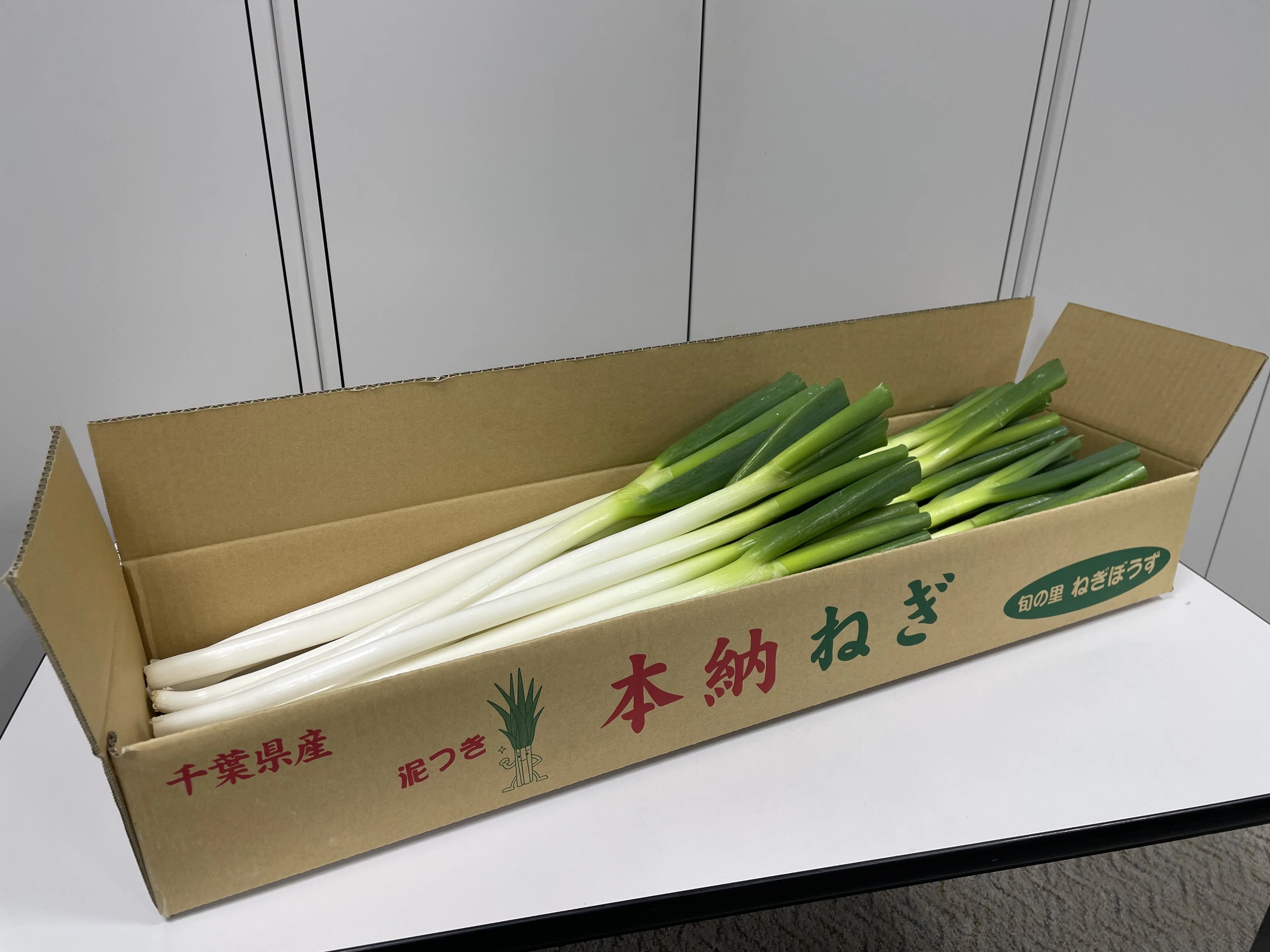首長と〇〇やってみた】千葉県茂原市市原市長と「泥付きねぎ」を豪快に