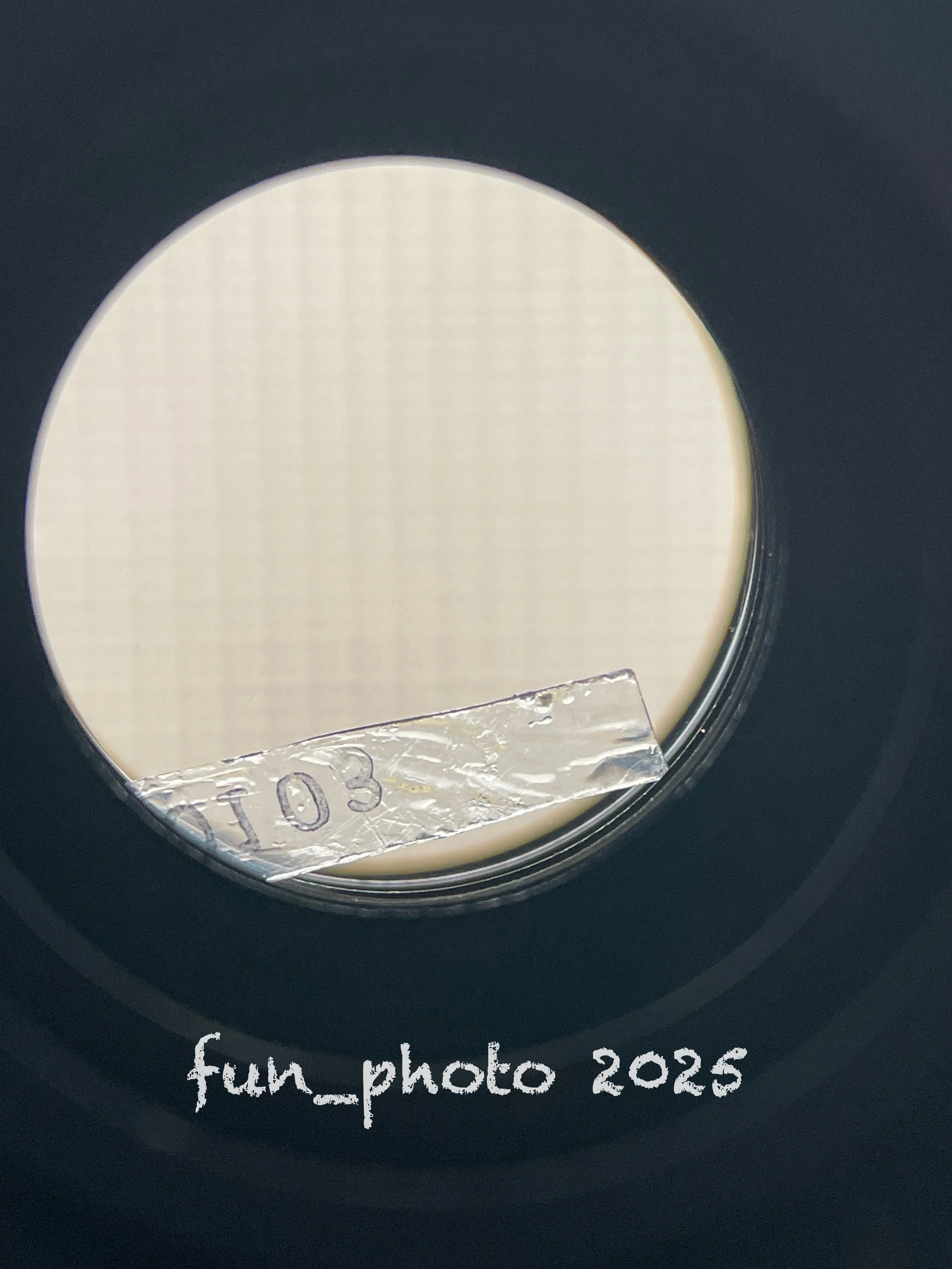 お気に入りのレンズが壊れた。CANON EF24-70mm F2.8L USM｜fun_photo