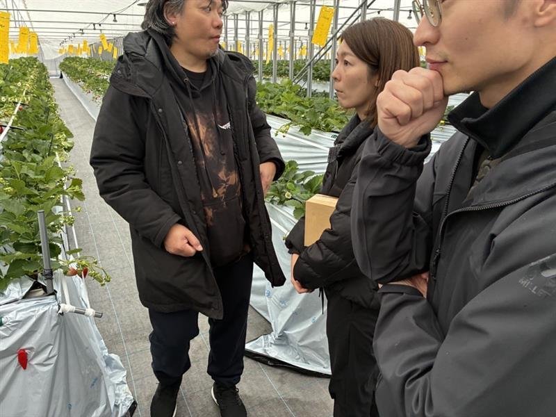 🍓クラフトビールといちご。