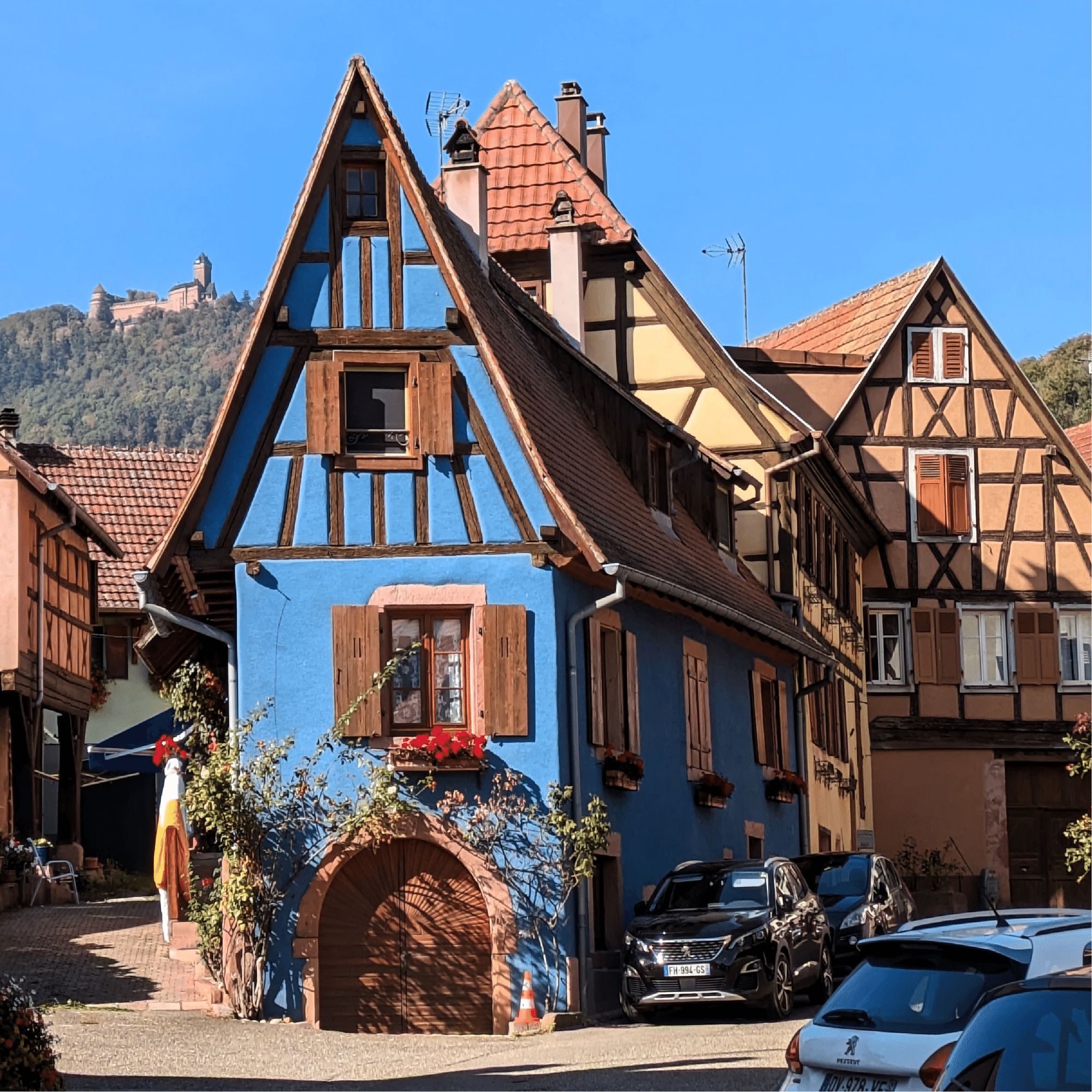 アルザス地方｜かまだ ゆたか