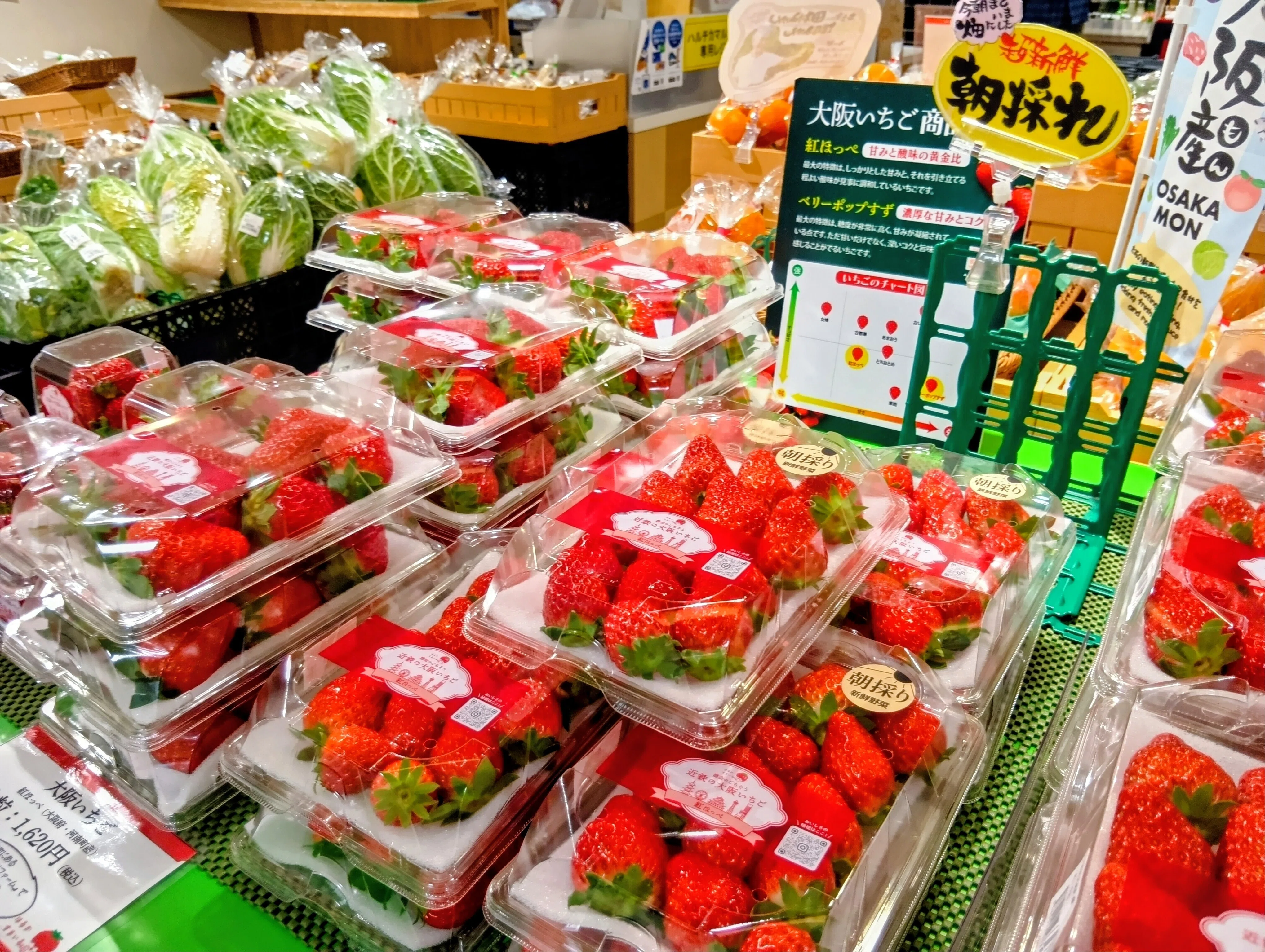 大阪いちご「はるかすまいる」の販売がスタートしました！「朝採り