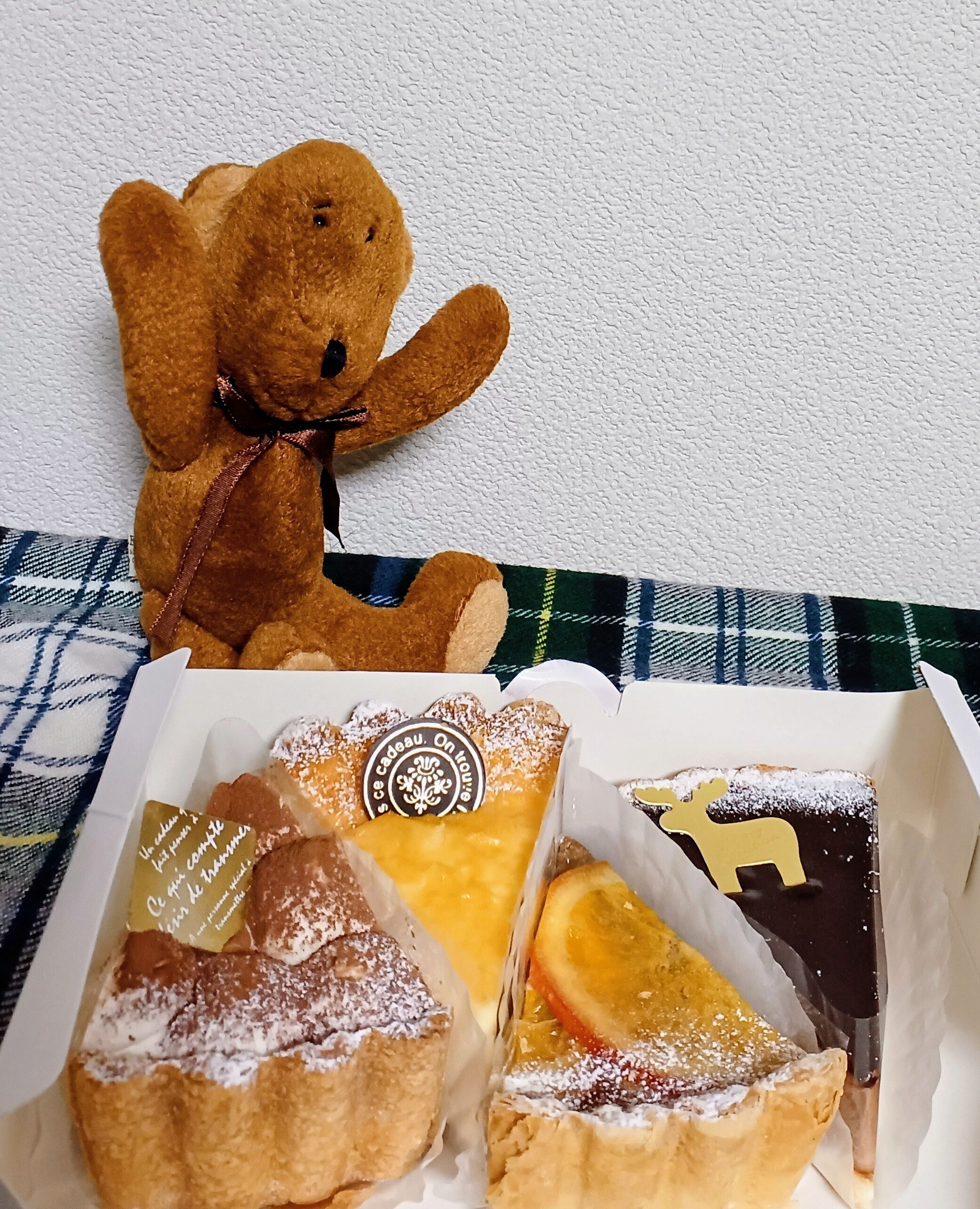 青木くんの本気タルト｜掌編小説｜藤家 秋