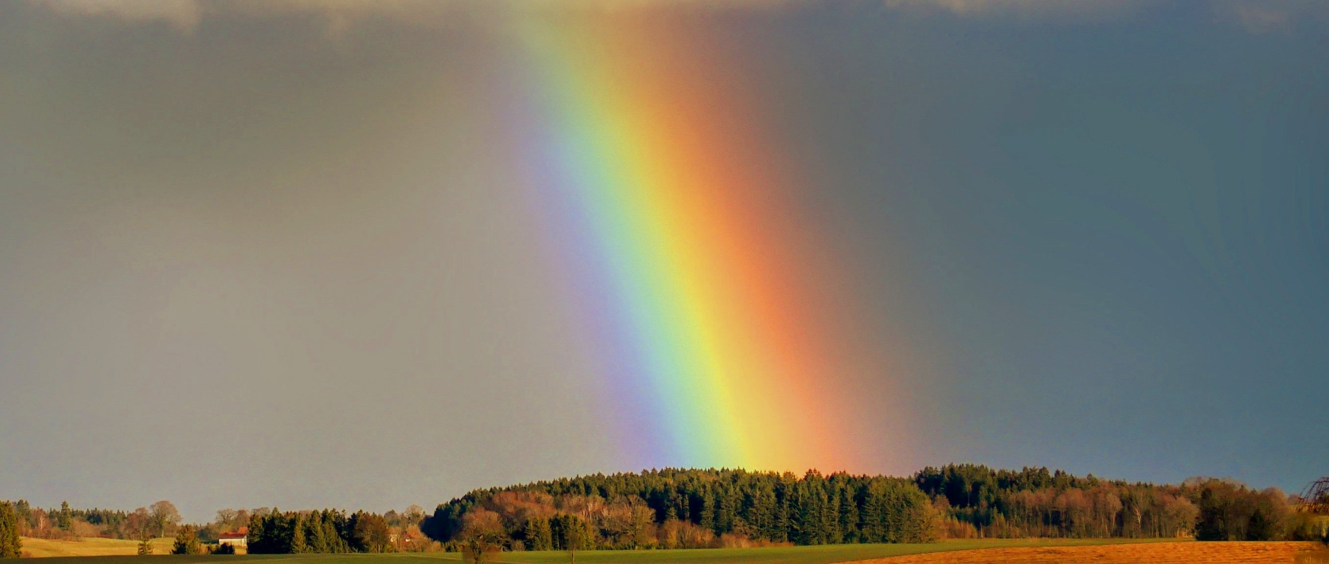 虹は7色？｜あなたが知らない〝色〟がある｜工藤シンク (Sync. Kudo)