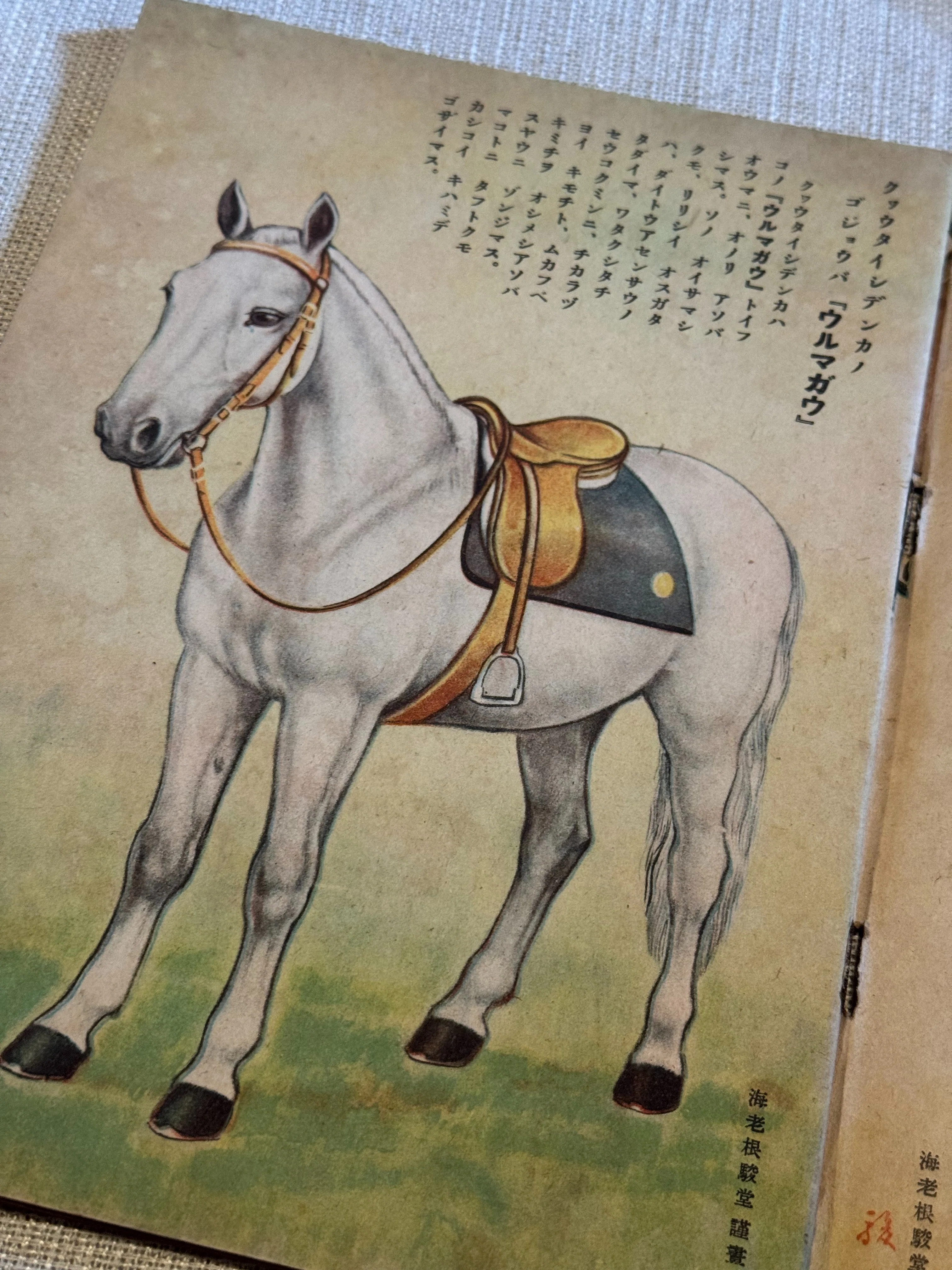 戦争中ではあっても、少しでも良いものをという発行者の思いがにじむ