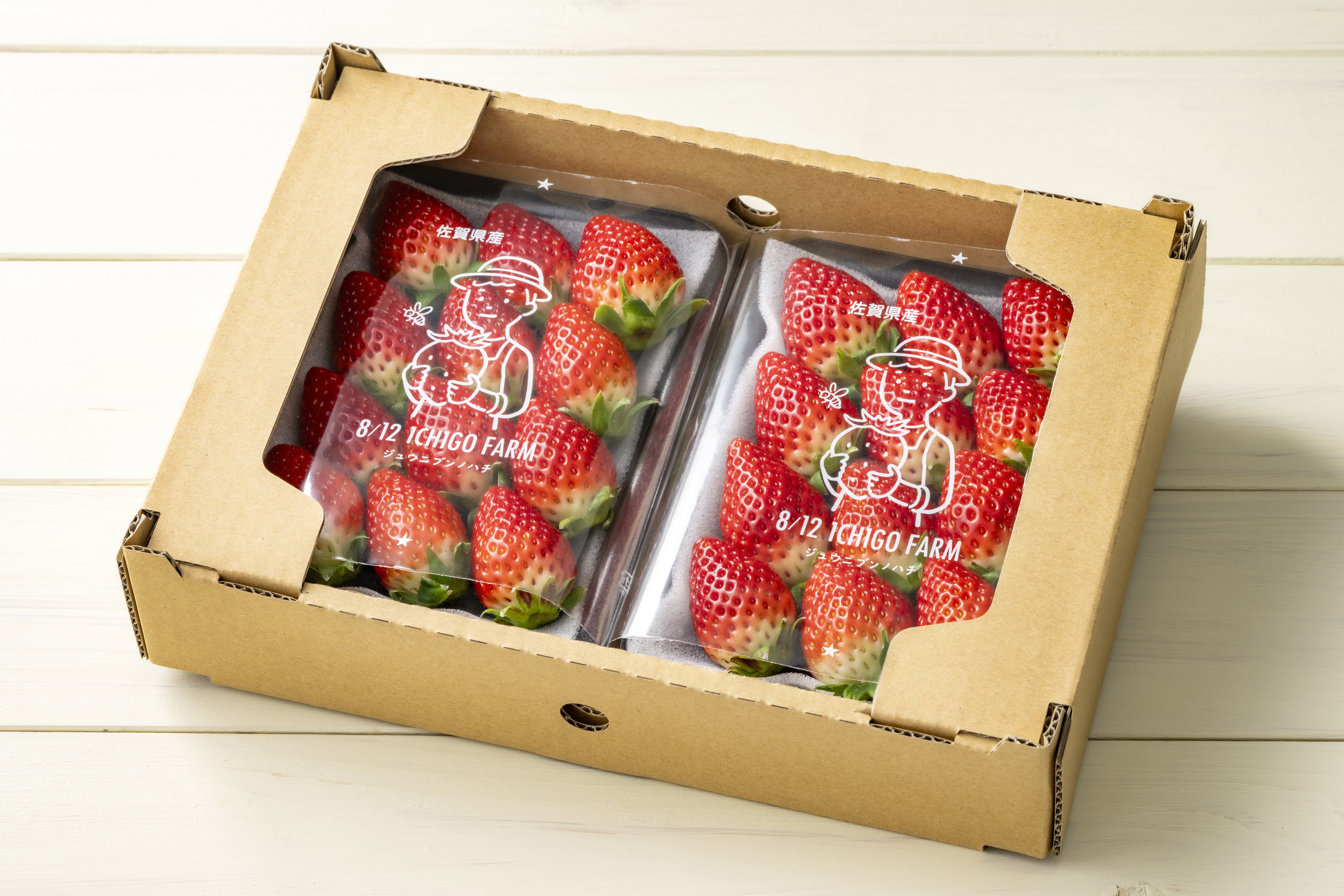 こんにちは！8/12 ICHIGO FARMです｜井手篤志｜8/12 ICHIGO FARM