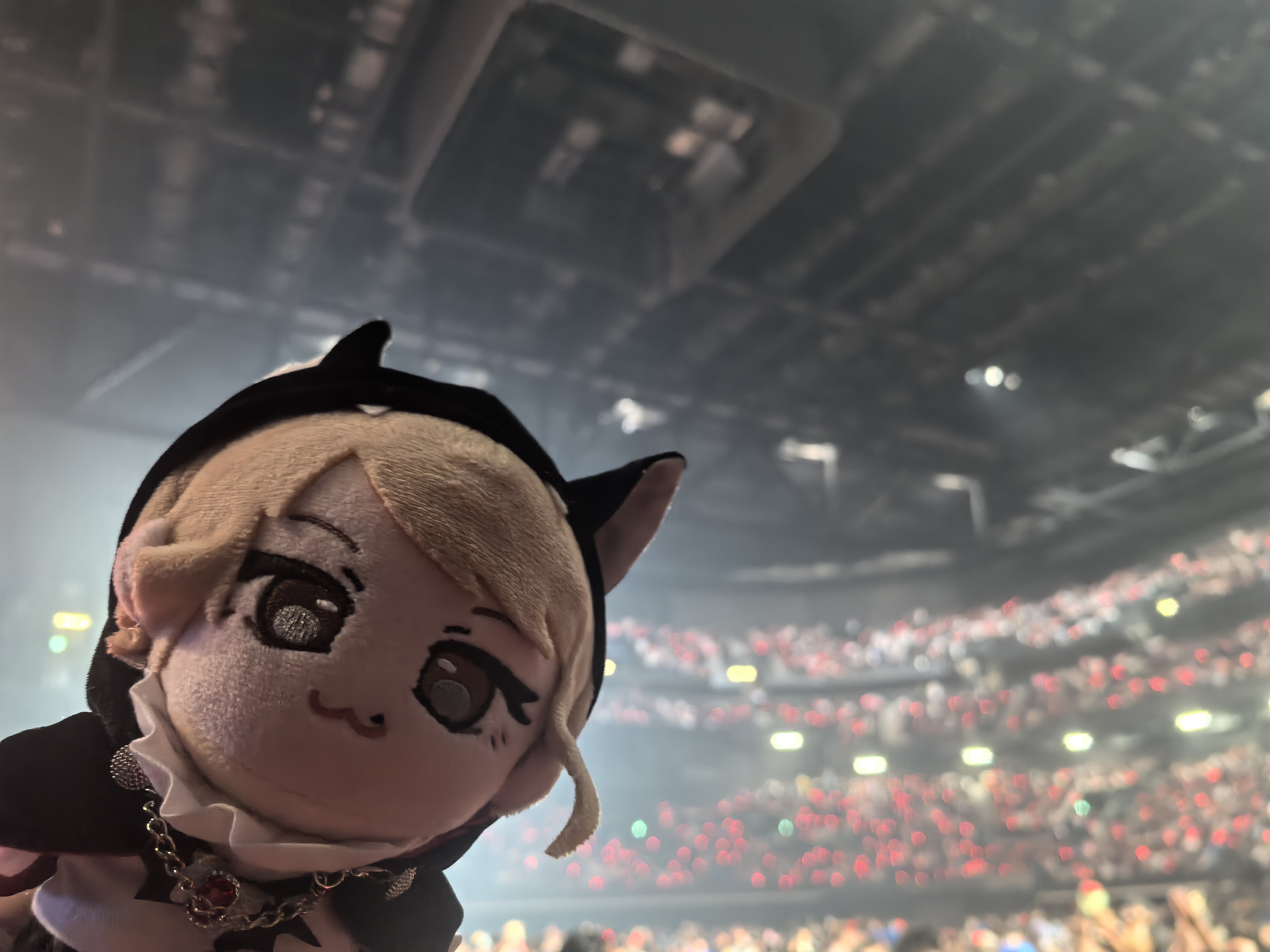 トリコの三百日[#佐々木李子アドベントカレンダー 18日目記事]｜狐狸🦊