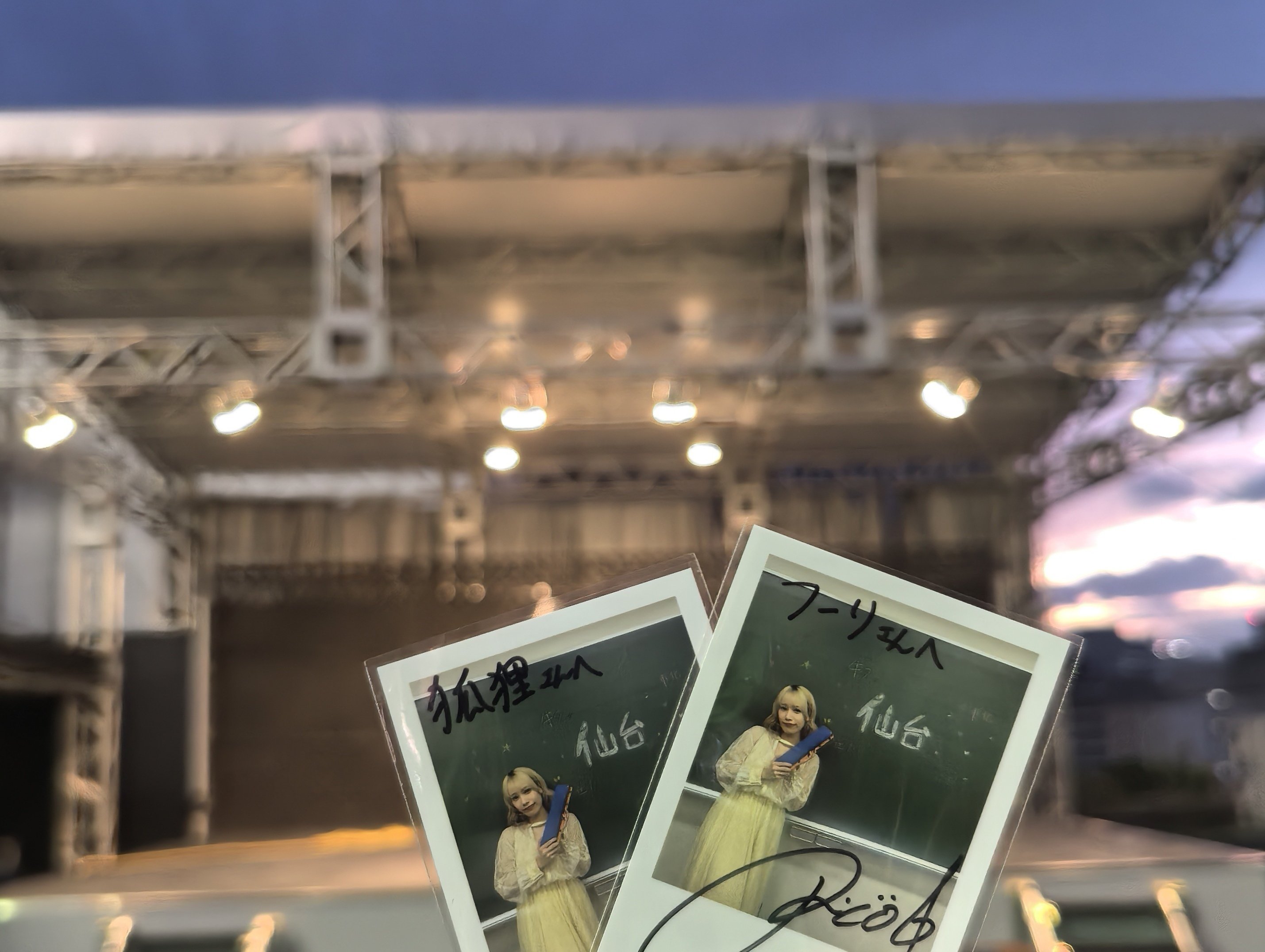 トリコの三百日[#佐々木李子アドベントカレンダー 18日目記事]｜狐狸🦊