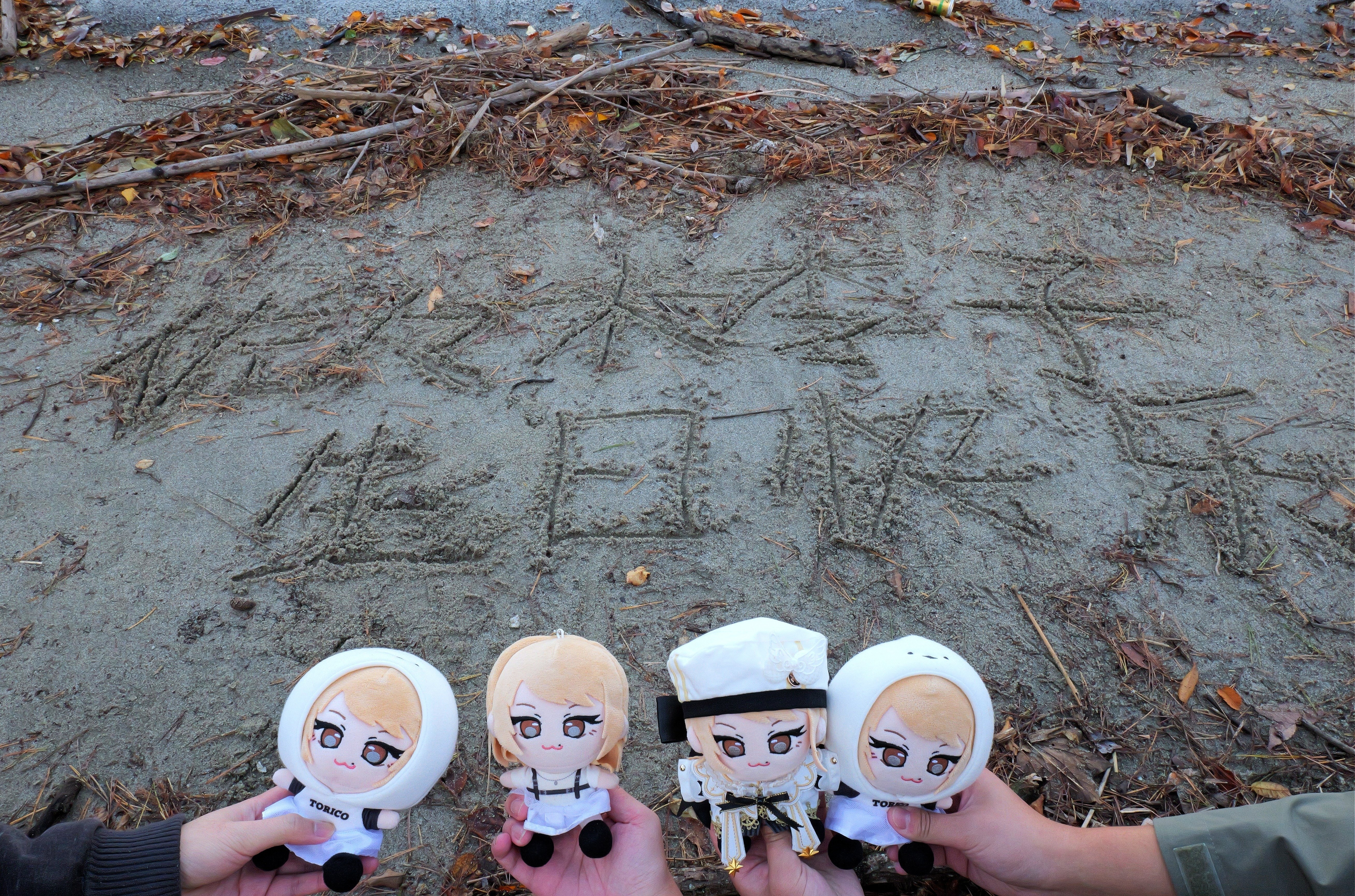 トリコの三百日[#佐々木李子アドベントカレンダー 18日目記事]｜狐狸🦊