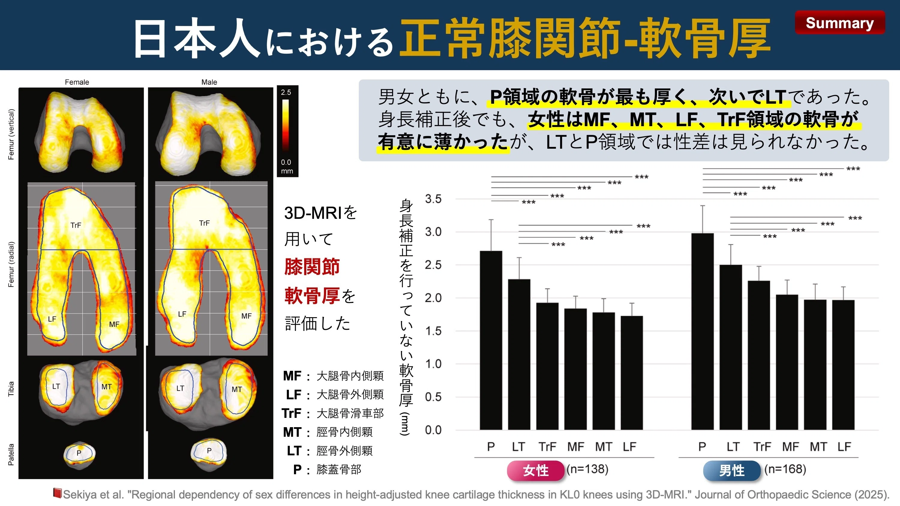 日本人における正常膝関節の軟骨厚｜Super Human | 理学療法士／保健学