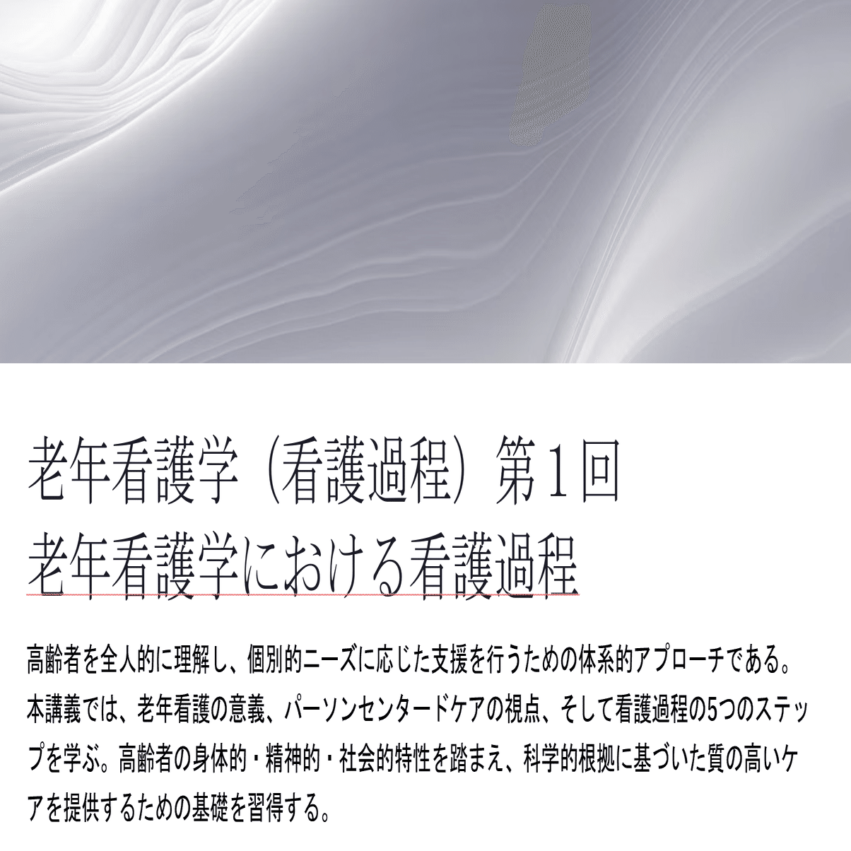 メンバーシップ限定】 老年看護学（看護過程）シラバス＋第1回 老年