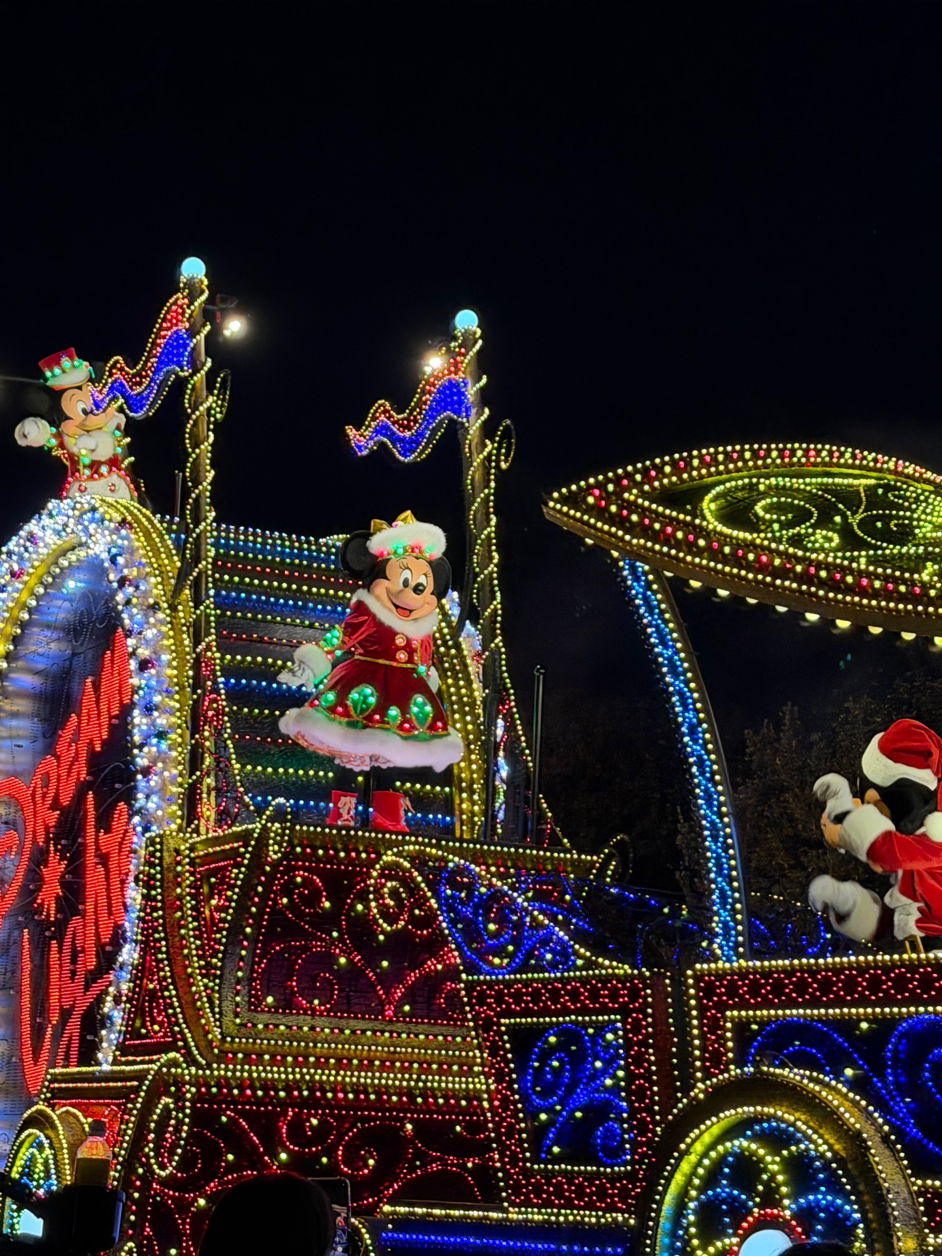 3世代で行くディズニー 大混雑 クリスマス編 2日目｜sunflowermama48