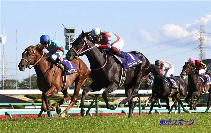 コントレイル無敗三冠馬の執跡｜かず