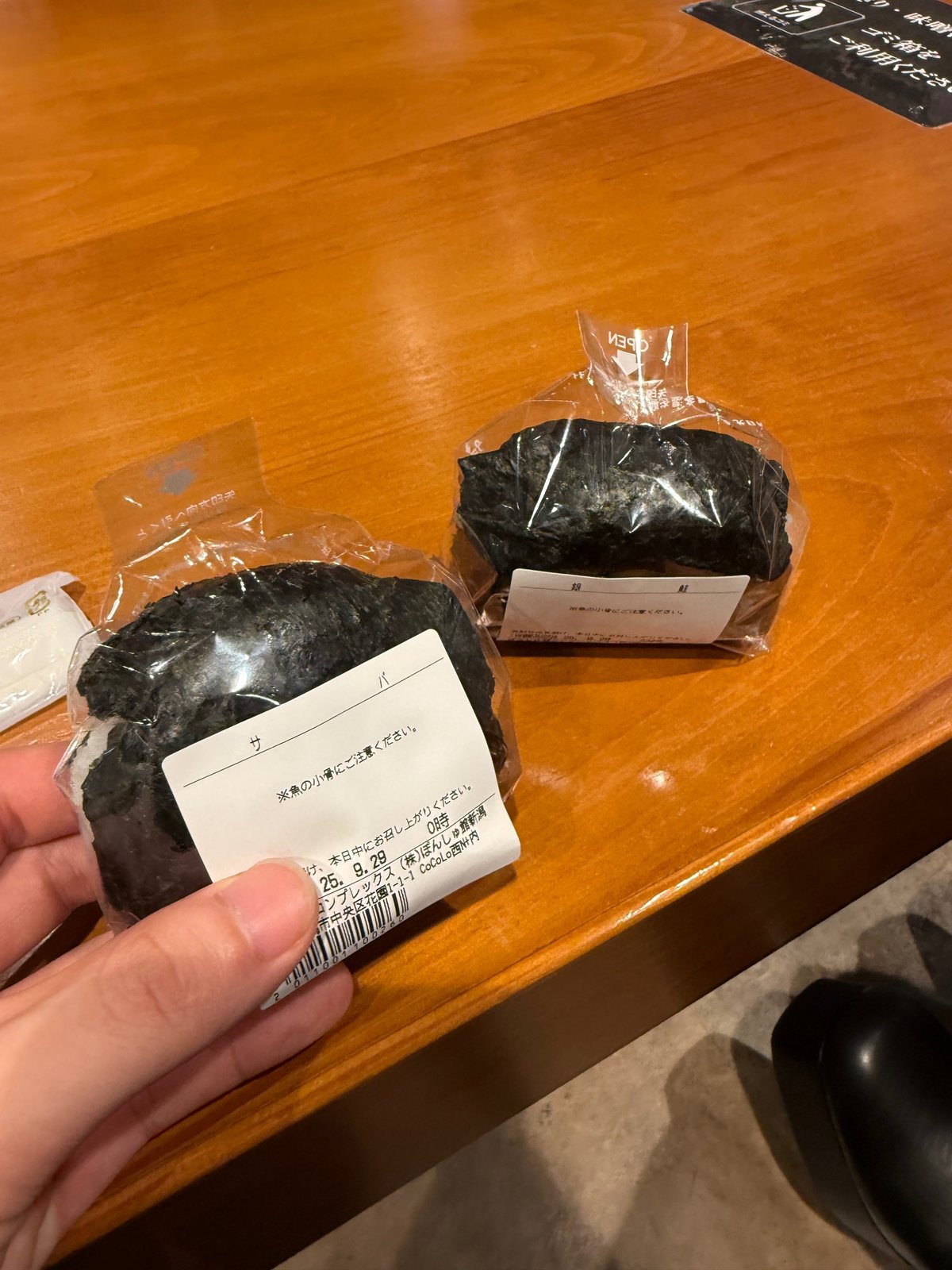 旅行記】友人の帰省に同行〜新潟〜②｜苔むす / ぼっちホカンス