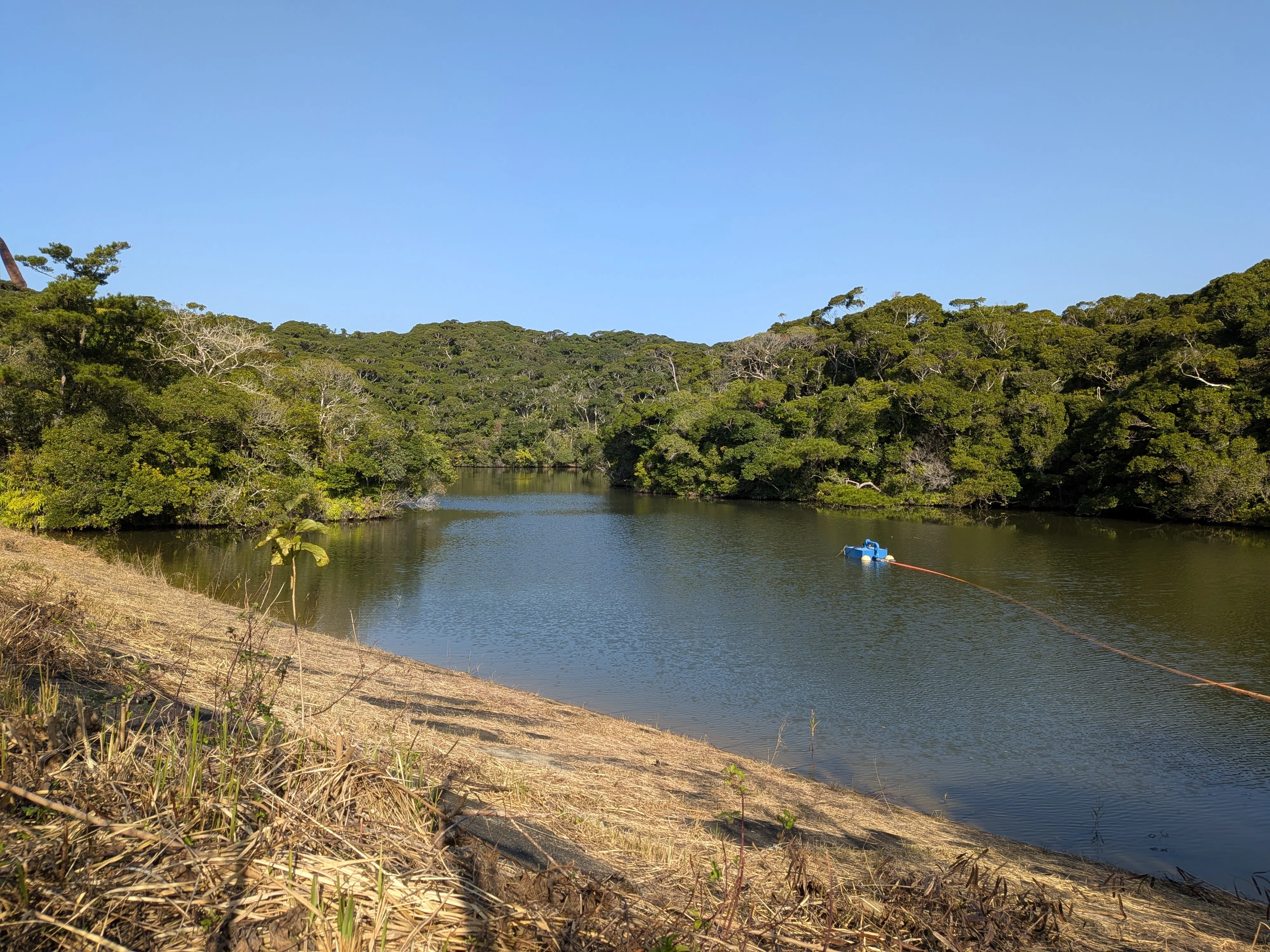 徳之島・伊仙町のダム旅｜徳之島｜伊仙町役場公式note