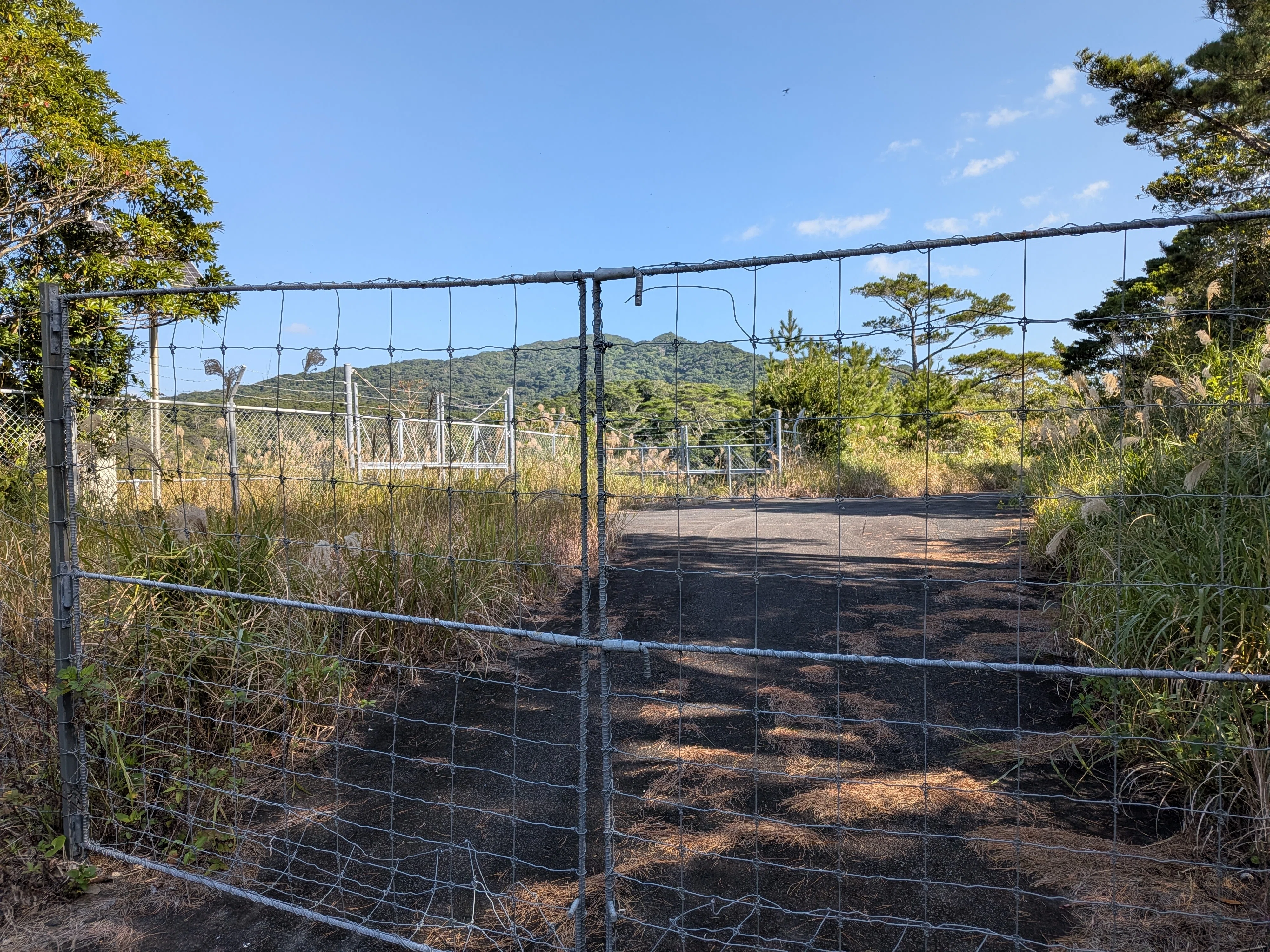 徳之島・伊仙町のダム旅｜徳之島｜伊仙町役場公式note