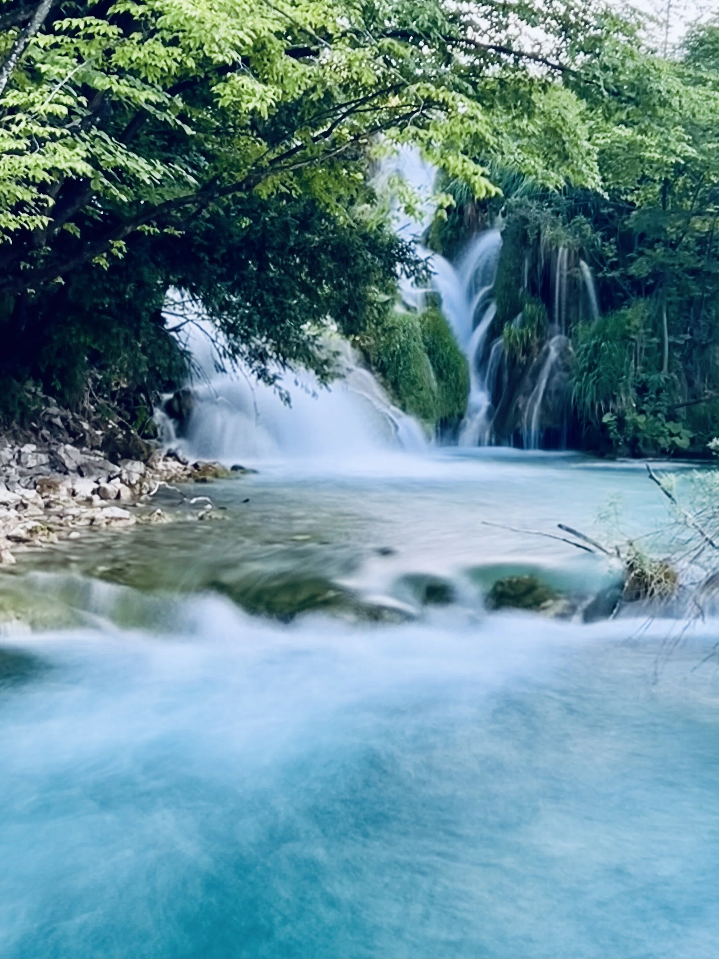 クロアチア旅行記】ザグレブ発！世界遺産プリトヴィツェ湖群国立公園へ