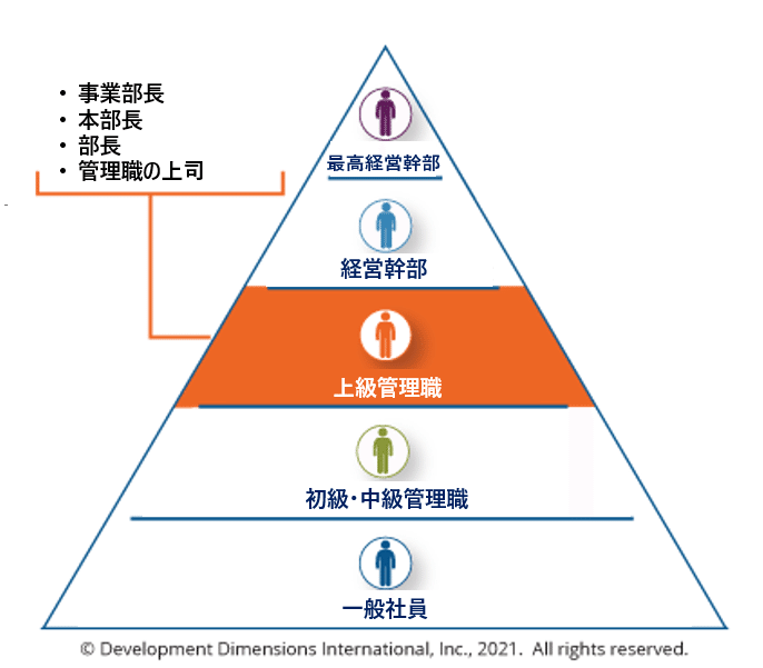 上級管理職の役割とは？組織にもたらす4つの価値と育成のポイント｜MSC