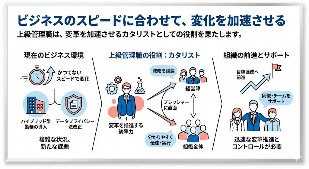 上級管理職の役割とは？組織にもたらす4つの価値と育成のポイント｜MSC