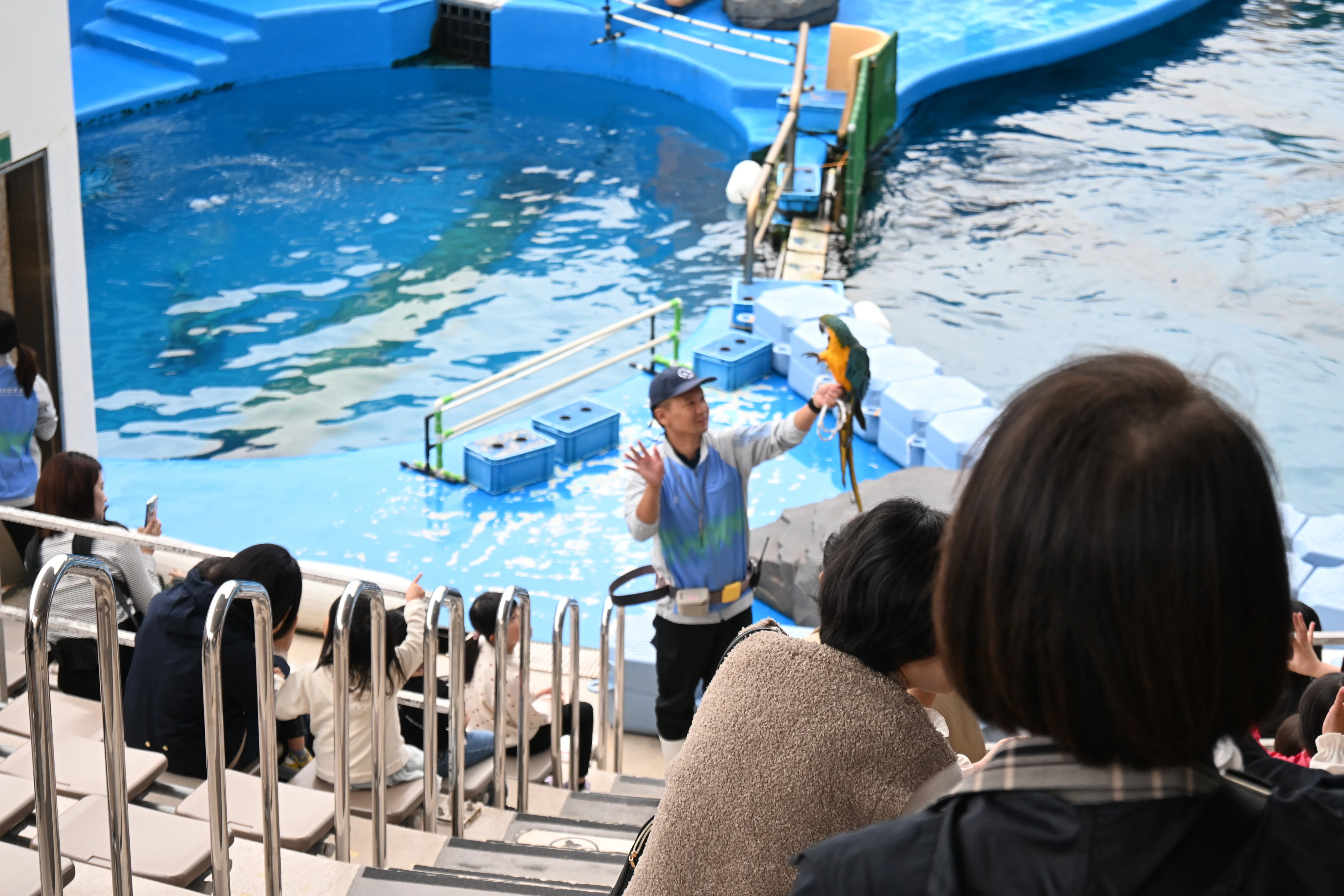 【中古】 水族館学 Amazon.co.jp: 水族館学: 水族館の発展に期待をこめて (東海大学自然