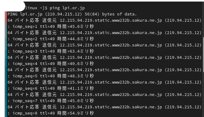 初心者向け】素人がLinux pingコマンドでインターネットへの接続の確認