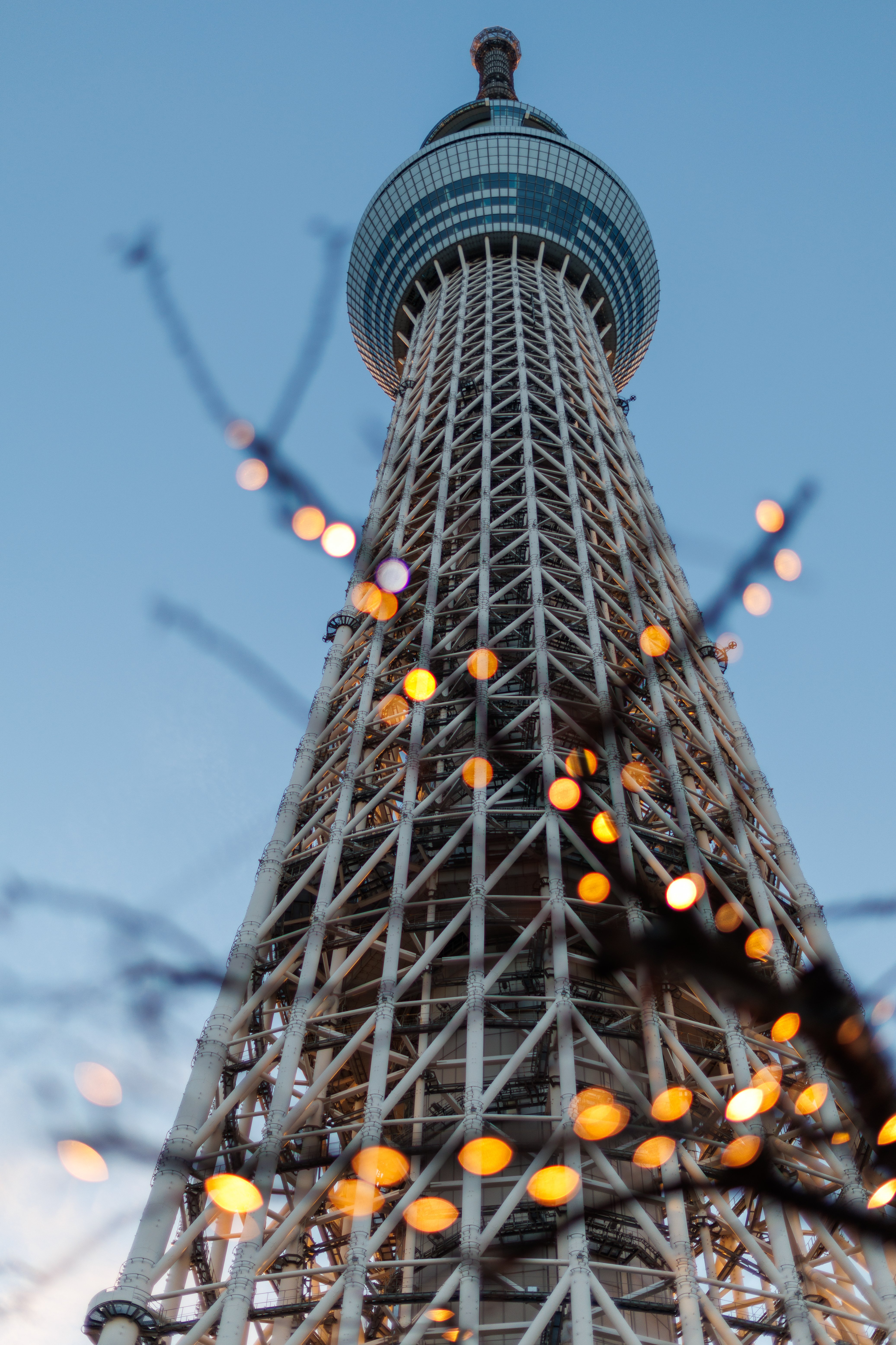 東京スカイツリー_20251218｜nakasank