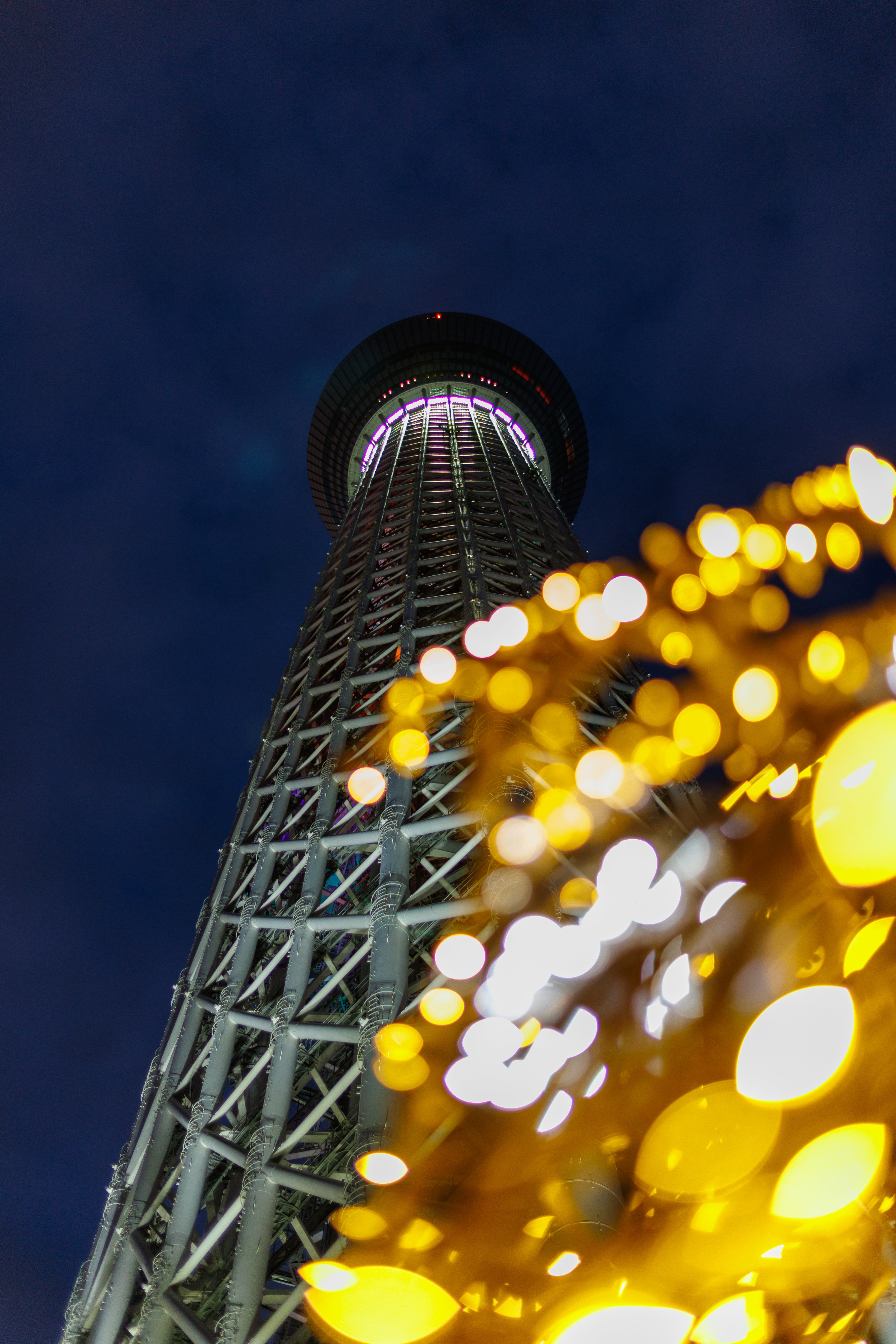 東京スカイツリー_20251218｜nakasank