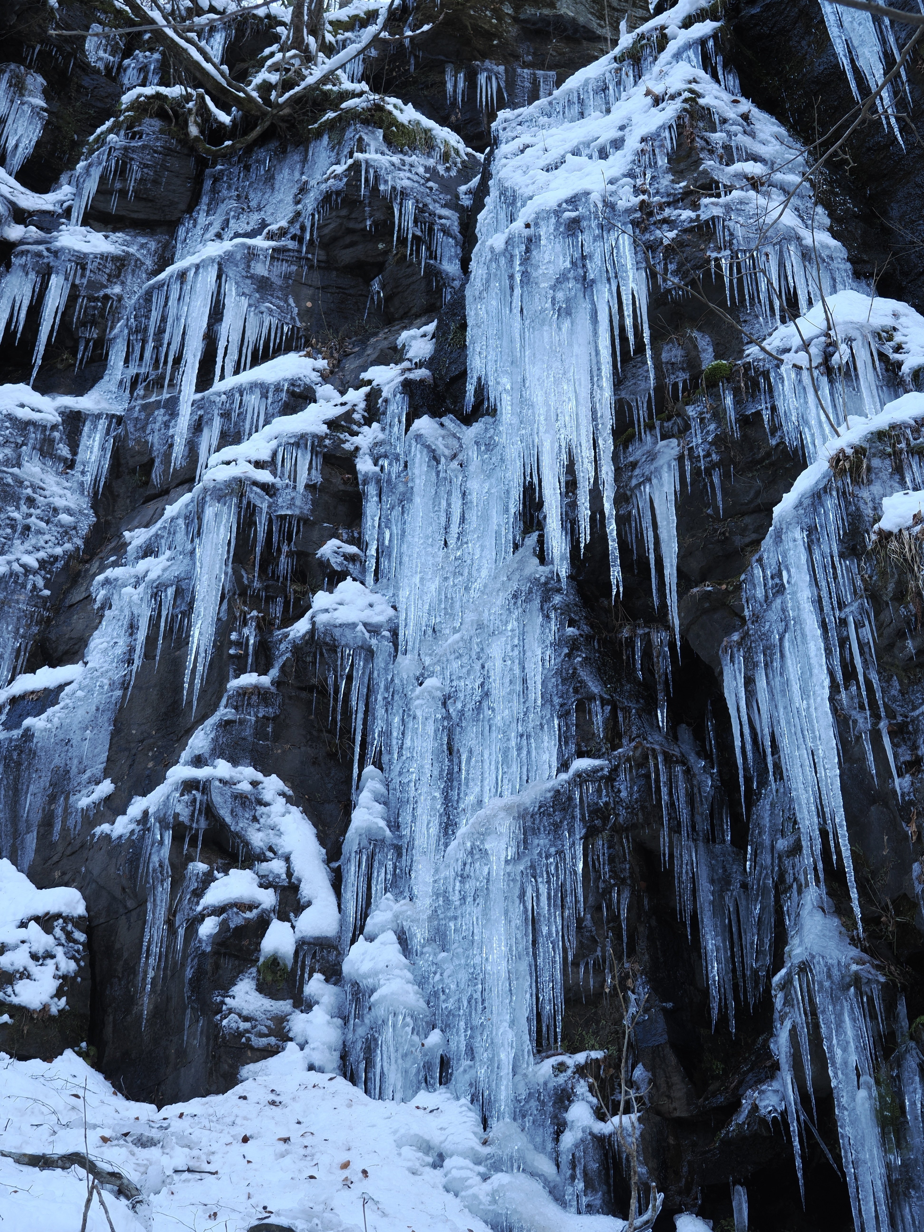 奥入瀬渓流 2025年12月の氷瀑①｜奥入瀬日和@星野リゾート