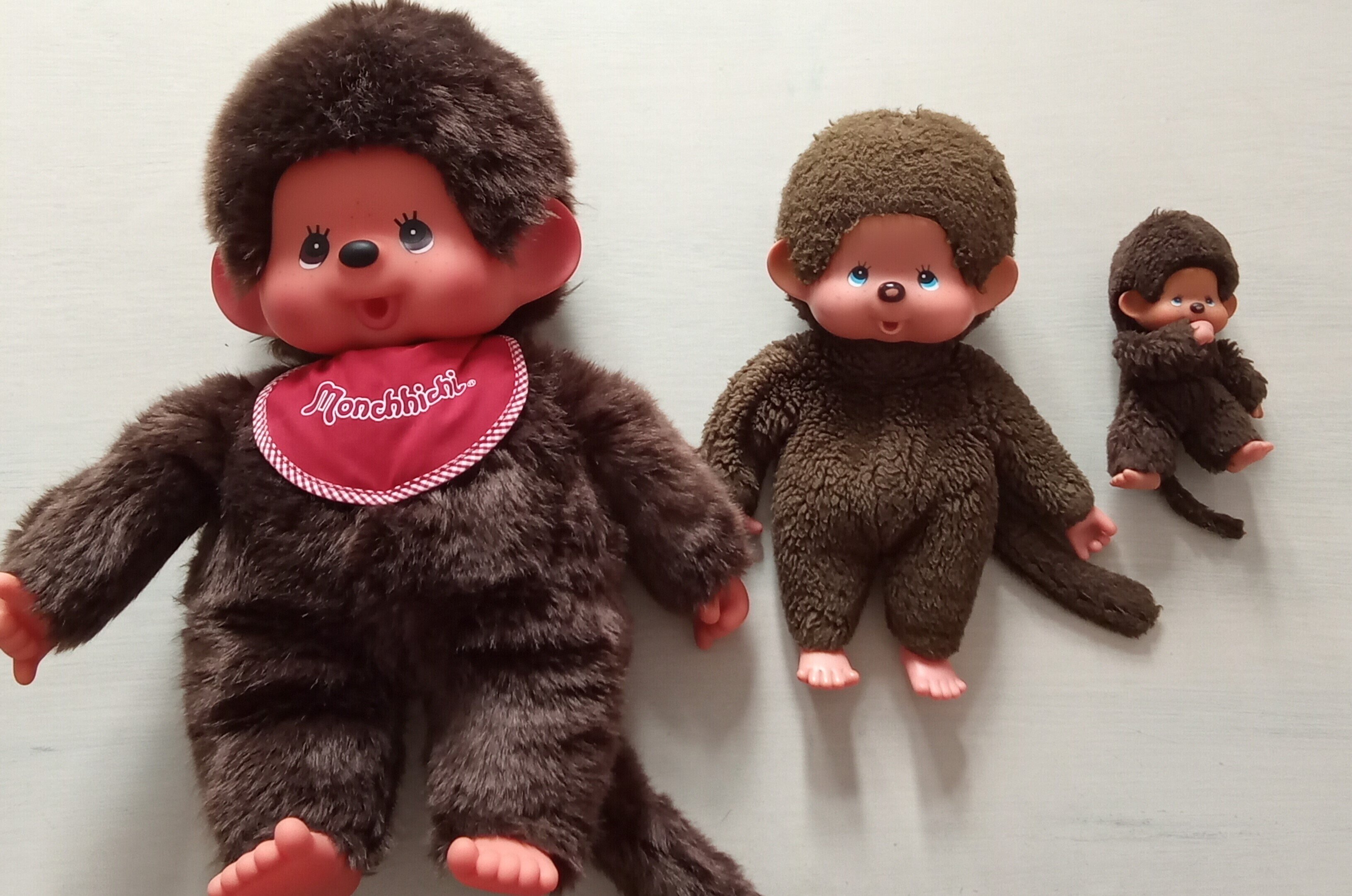 青い瞳のカワイコちゃん。フランス生まれのモンチッチ！｜あかりの