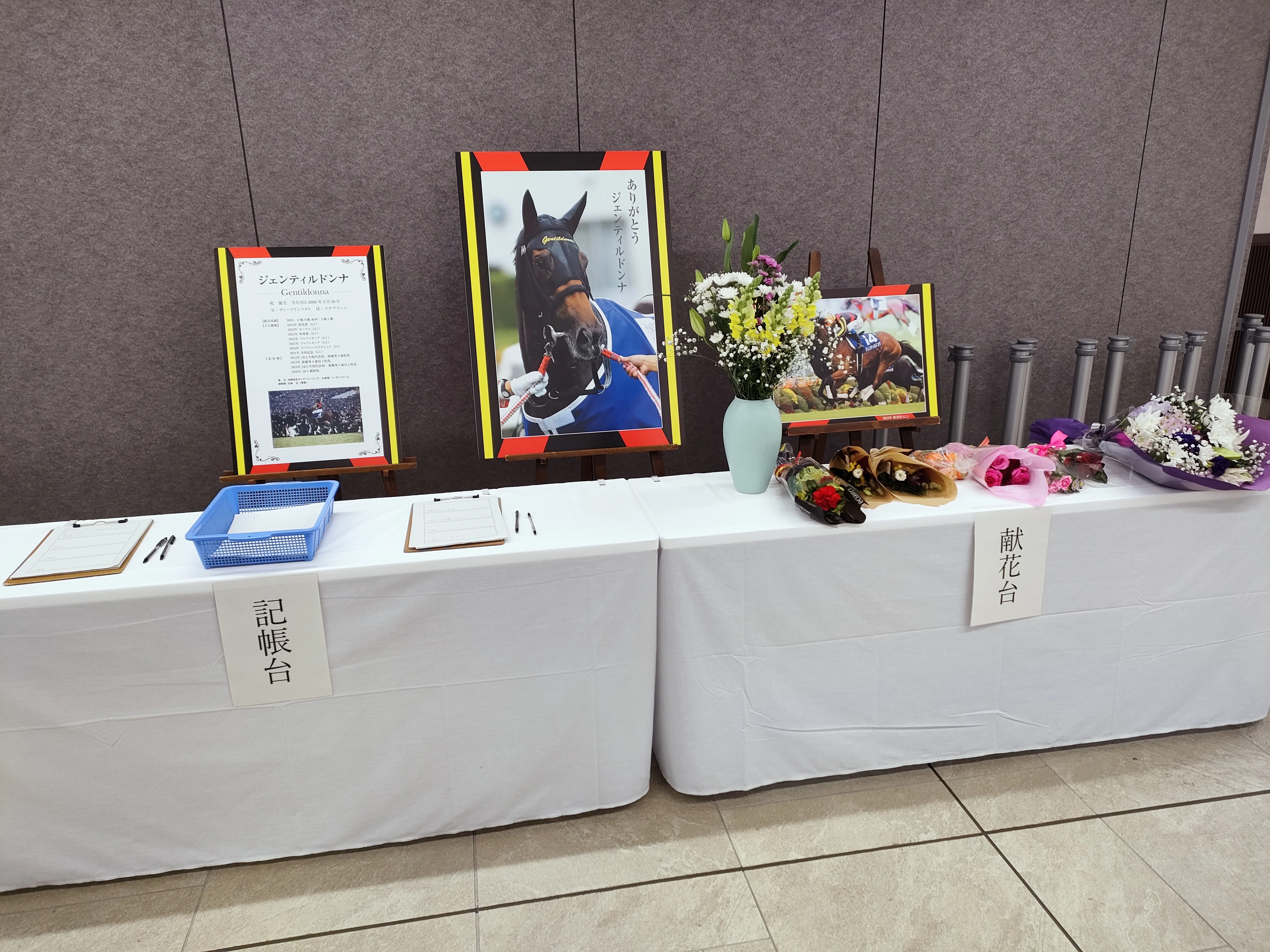 阪神競馬場訪問記②／2025年12月／注目した馬やレース、写真撮れた騎手