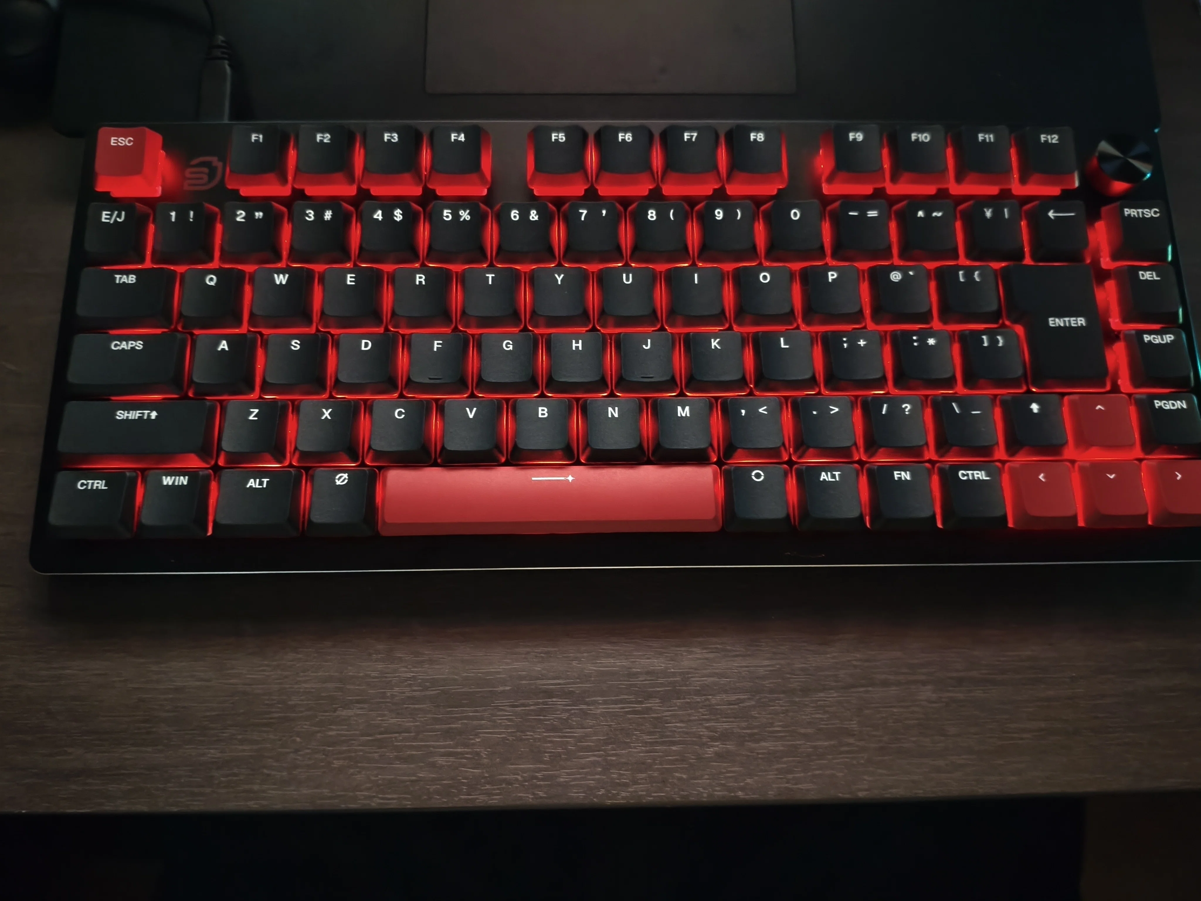 レビュー]初キーボードでガチマイナーキーボードを買ったら少し残念