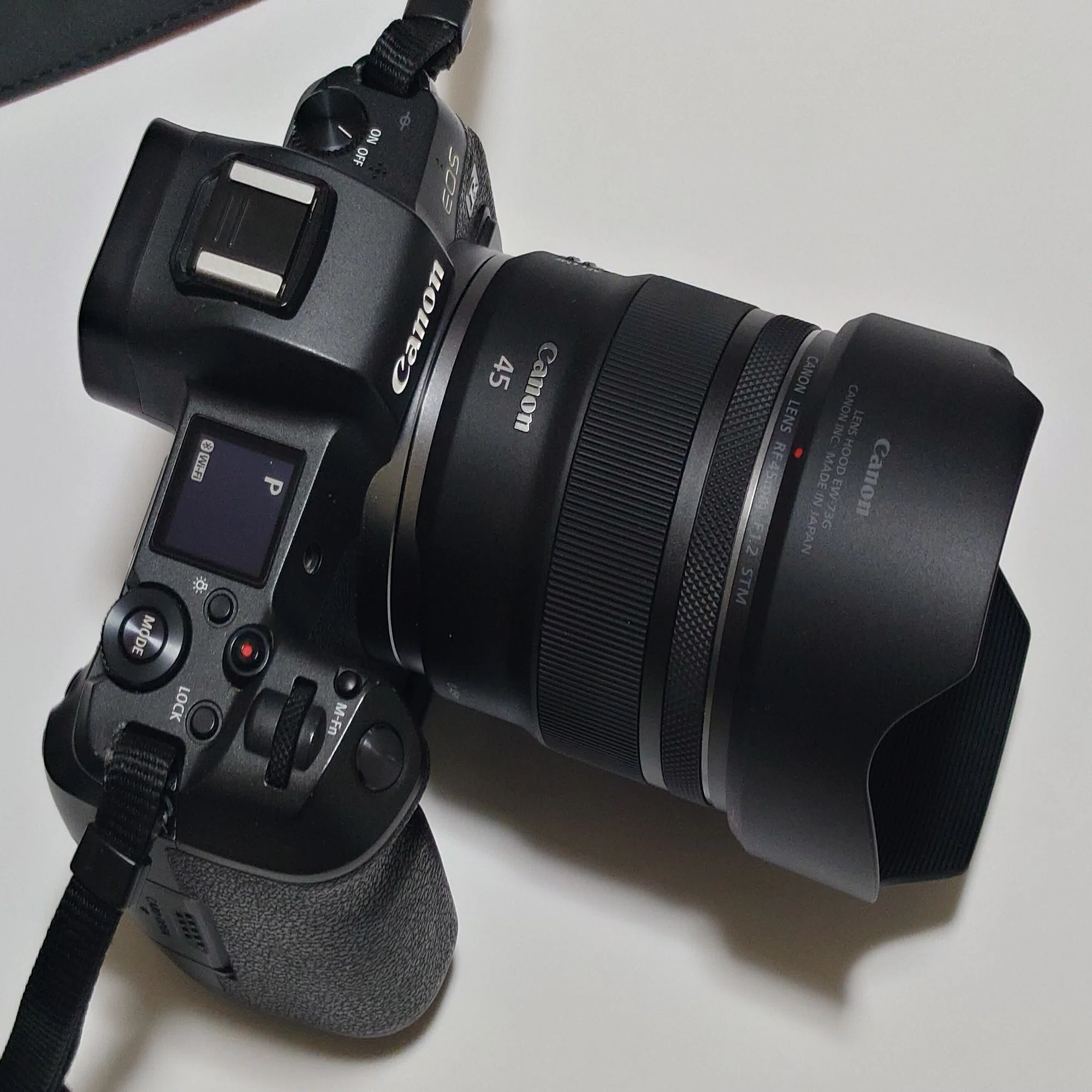 キヤノン RF45mm F1.2 STM は楽しい｜大佐藤