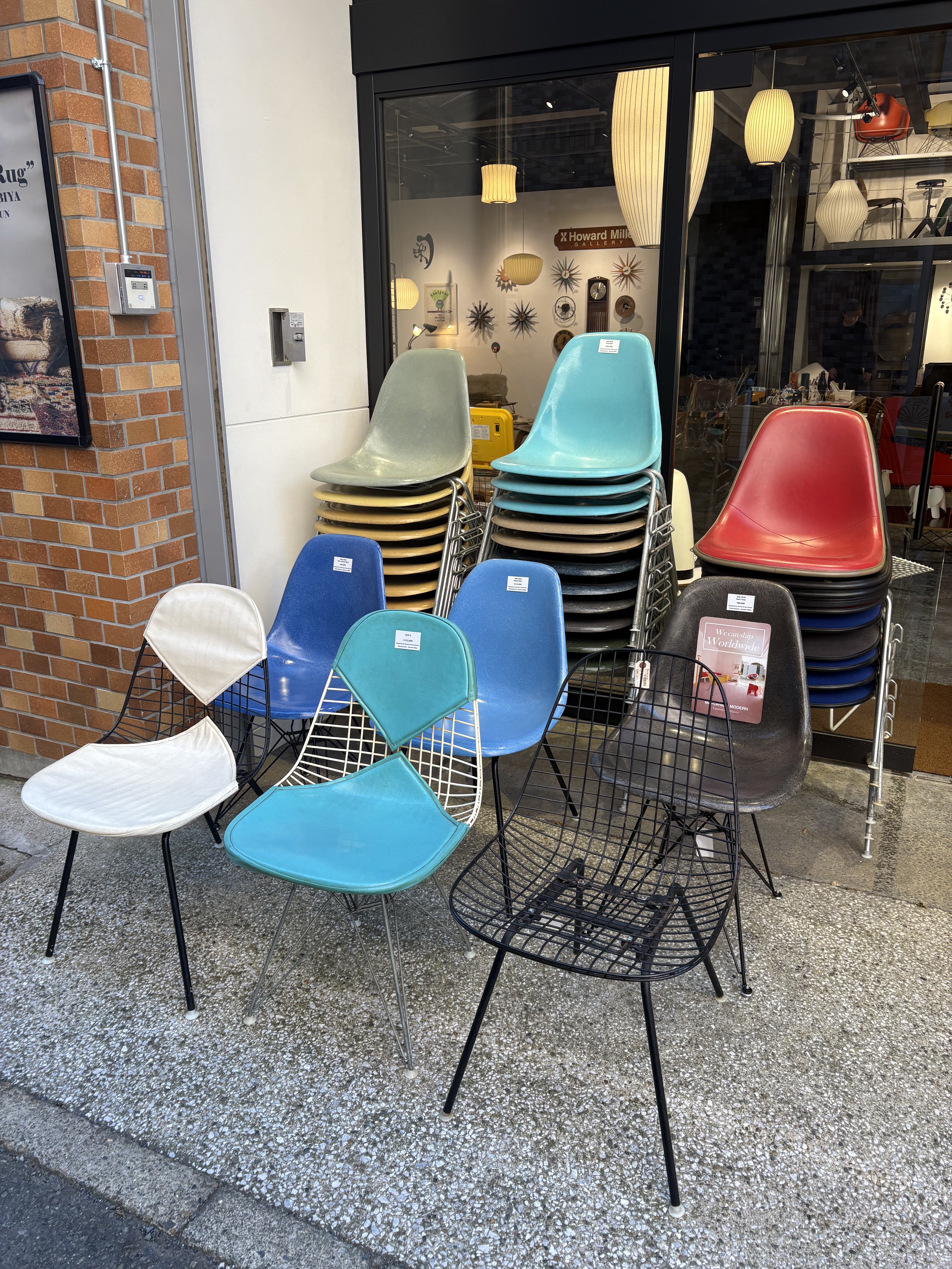 MID-Century MODERN 中目黒店へ行ってきました」｜松浦パグ